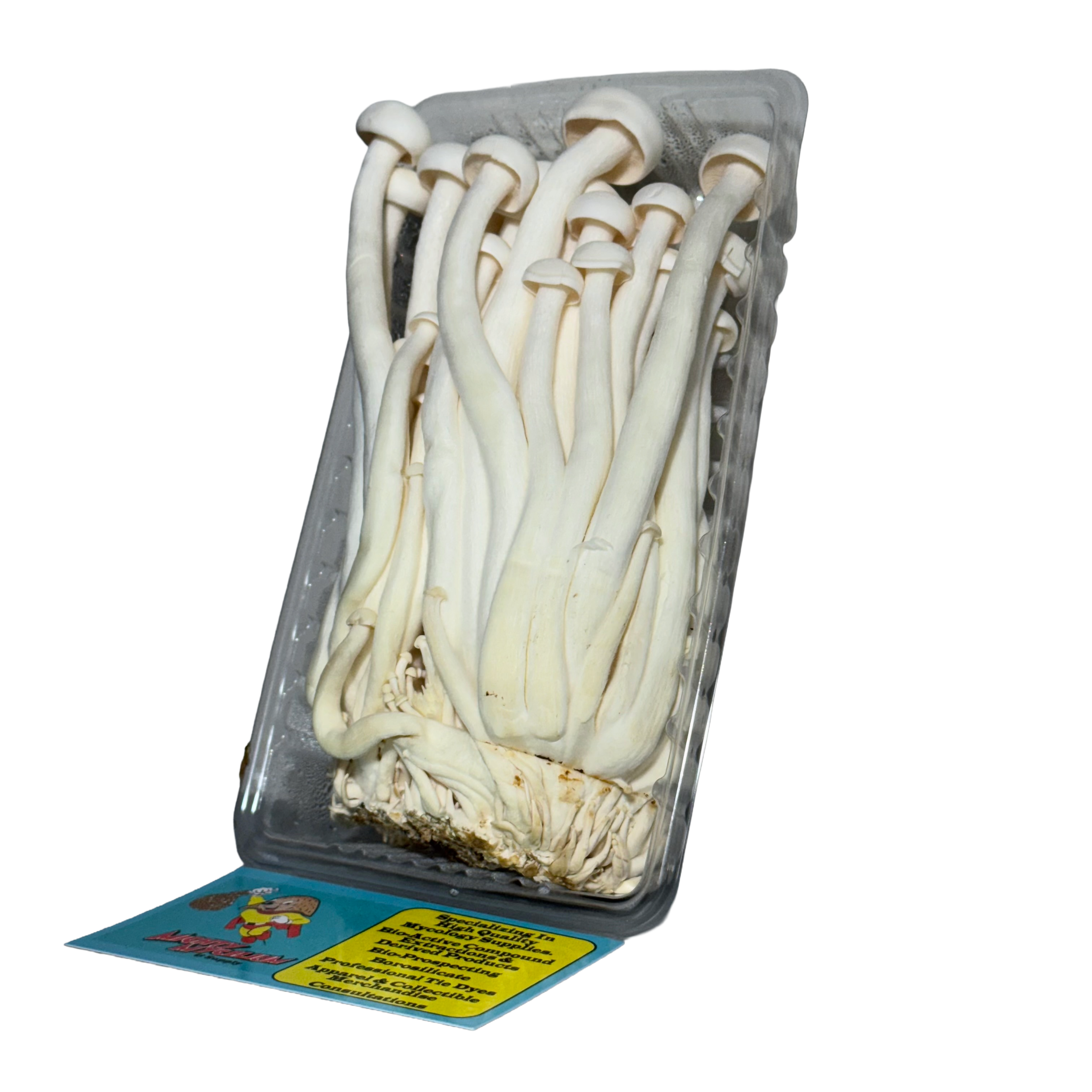 *Freeze Dried* Beech Mushroom Fruitbodies