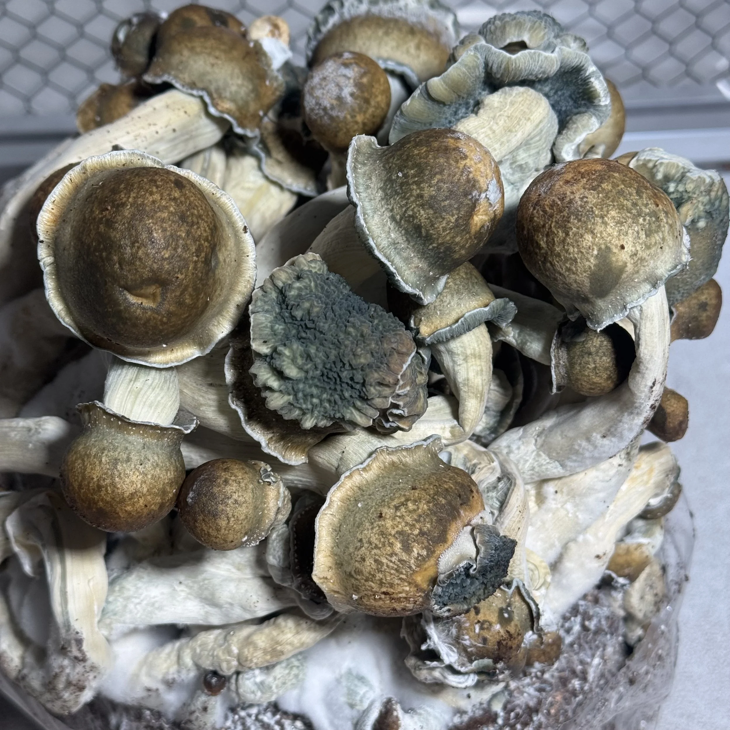 Photo May 07 2026, 8 10 22 PM.jpg