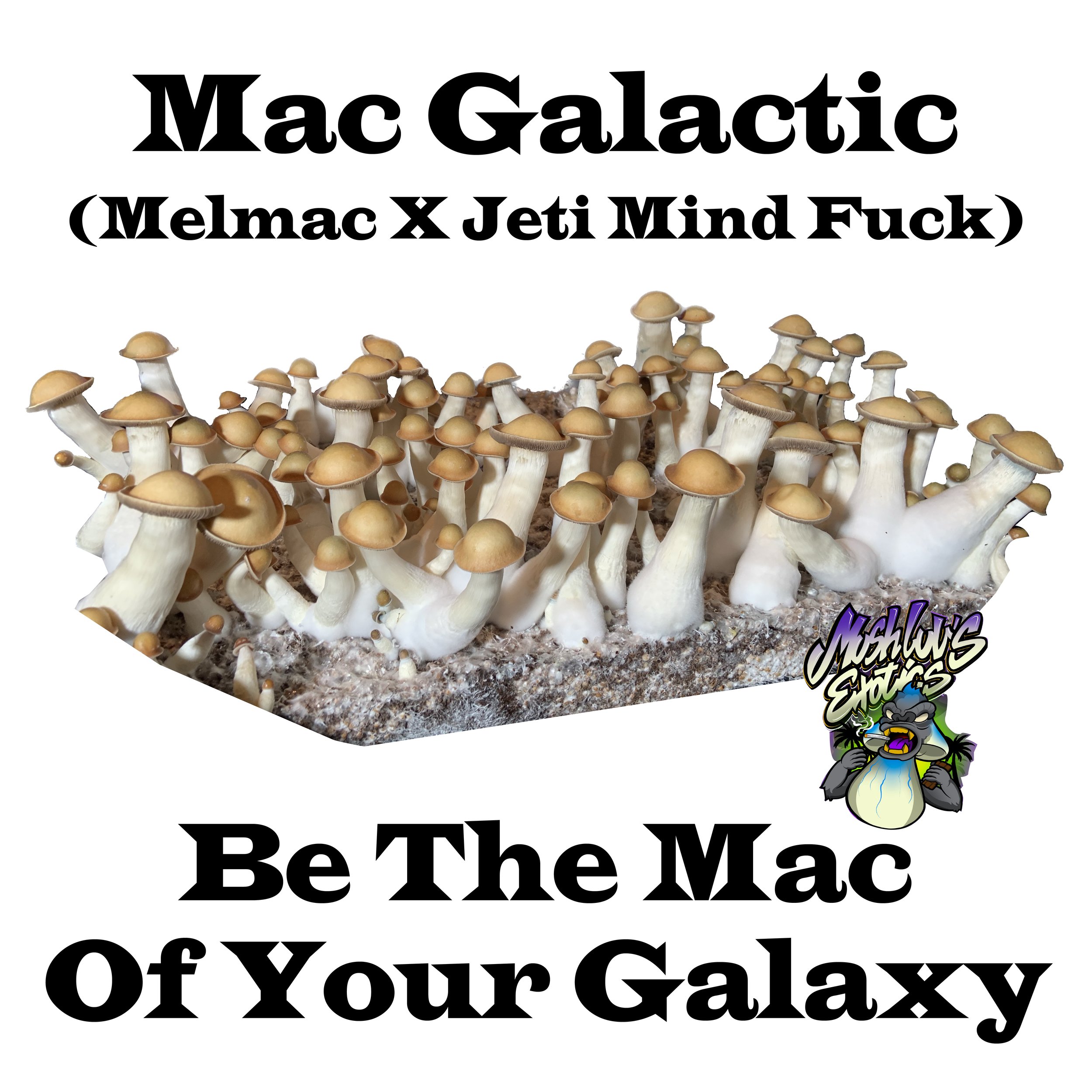 Mac Galactic