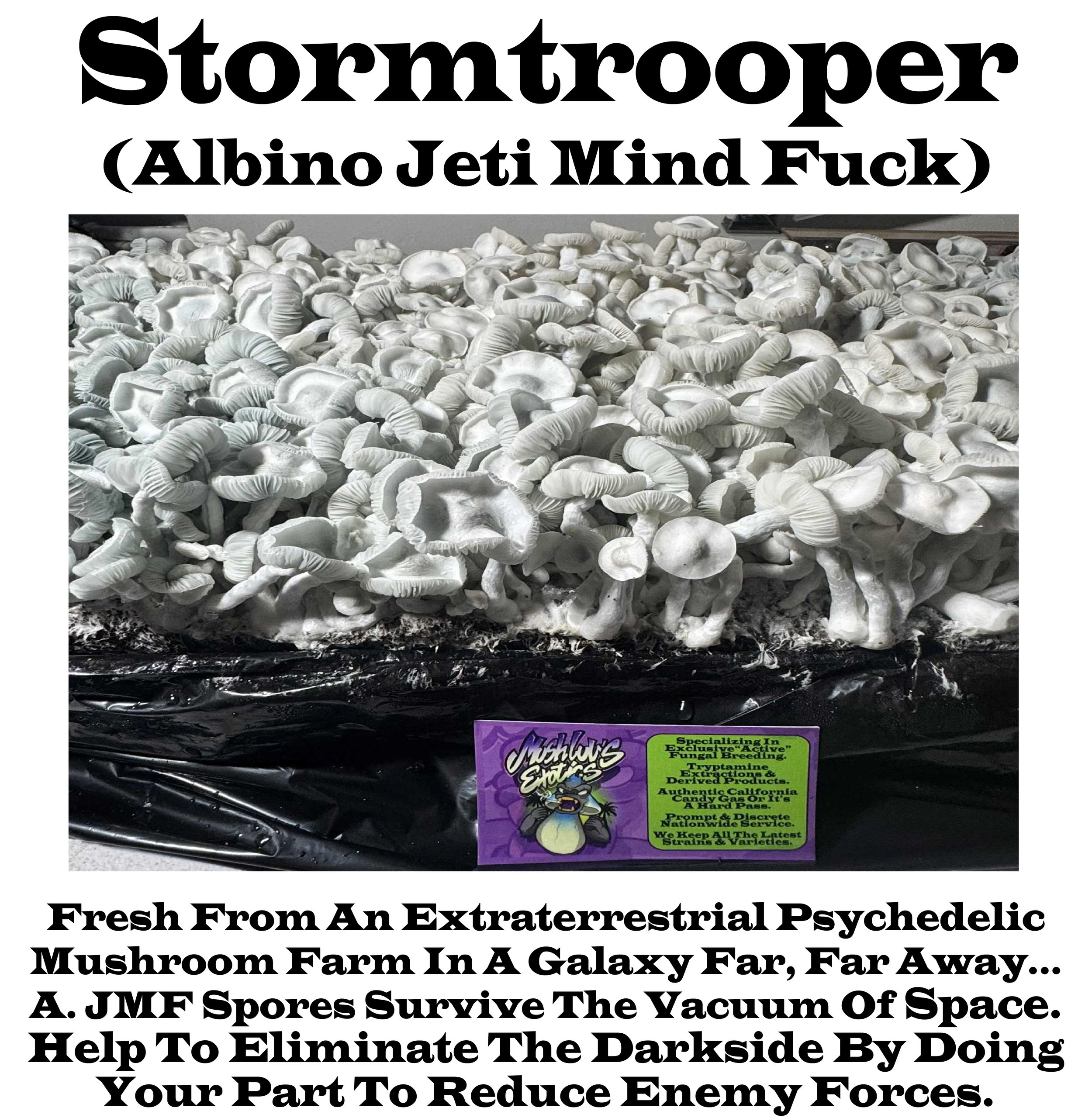 Stormtrooper (Albino Jeti Mind Fuck)