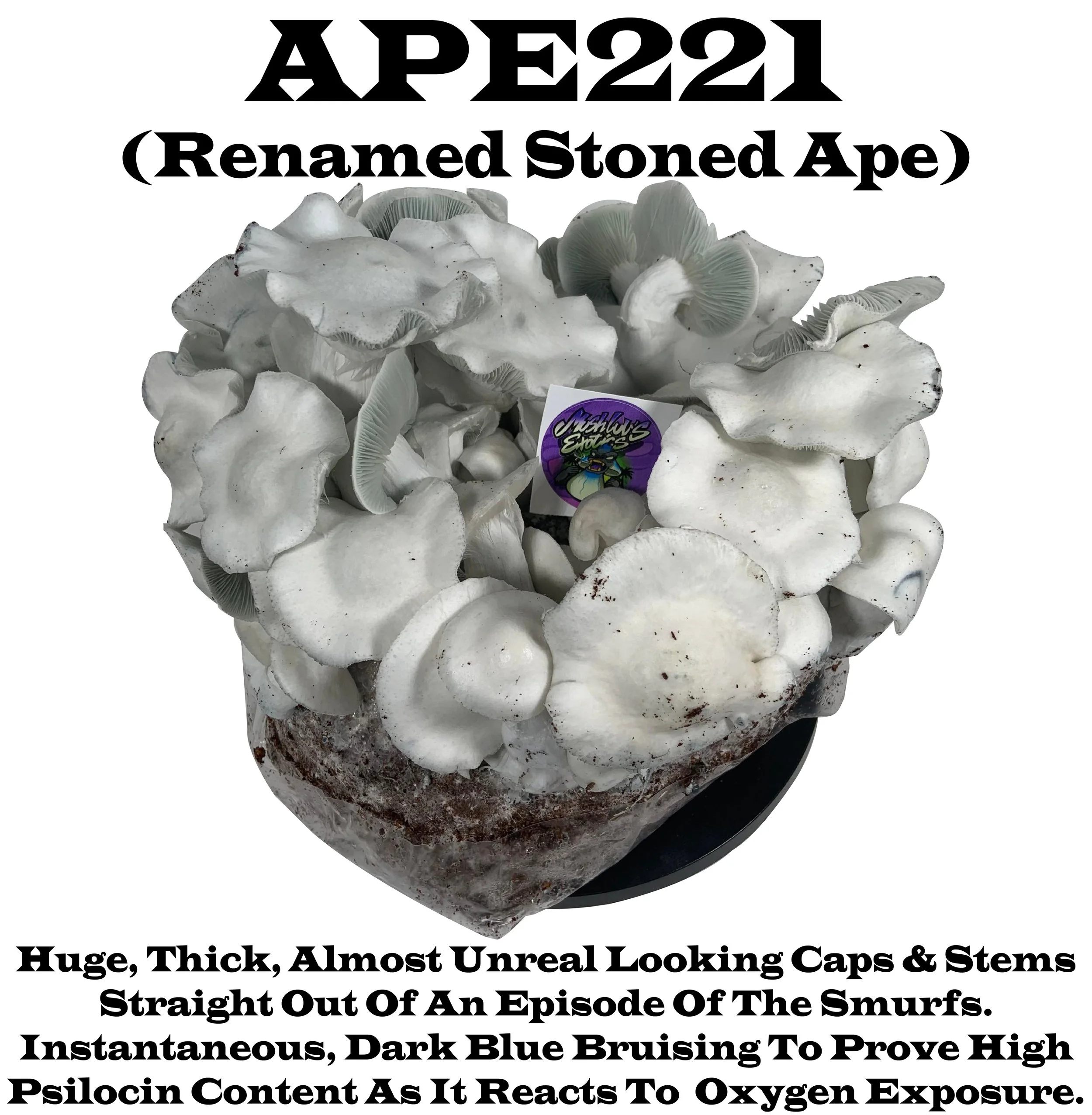 APE 221 (Renamed Stoned APE)