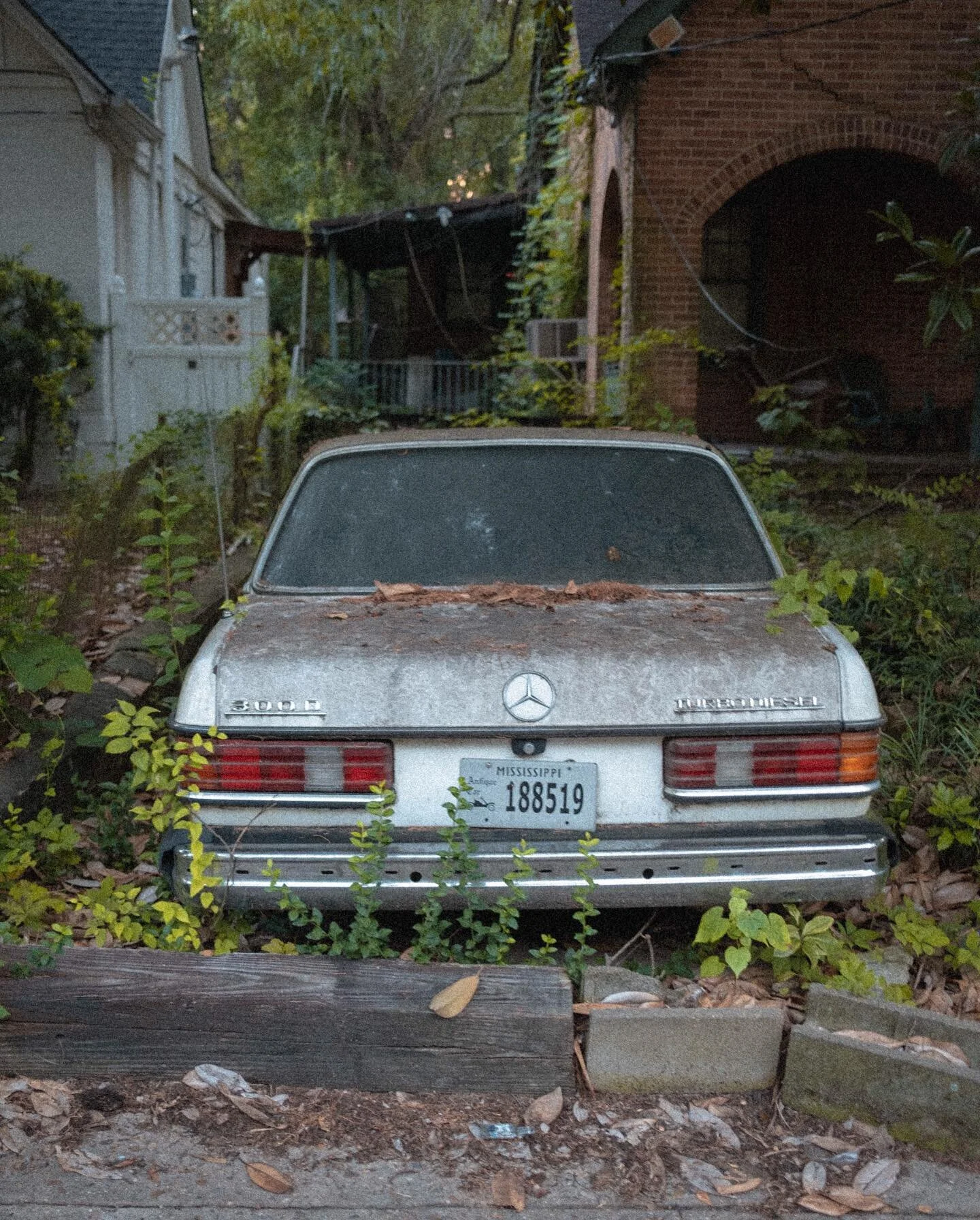 I have a thing for old cars 🚗
#photography #photographer #mississippiphotographer #jacksonms #jacksonphotographer #mississippi #car #travelphotographer #antique #vintage #classiccar #canon #mercedes #canonphotographer #canonphoto #canonphotography #