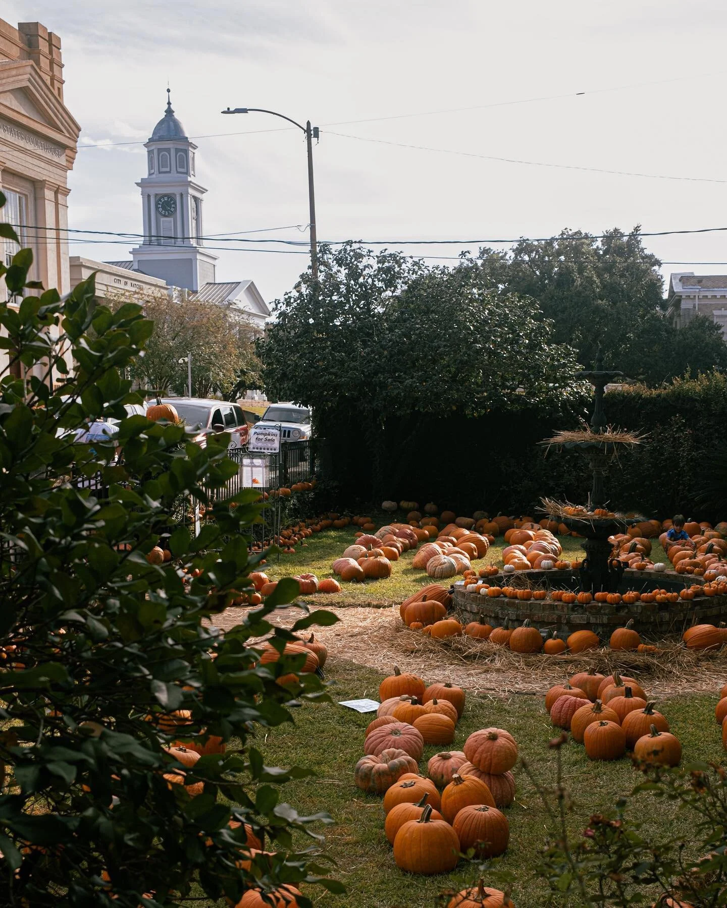 Halloween may be over, but my love of pumpkins will never end 🎃