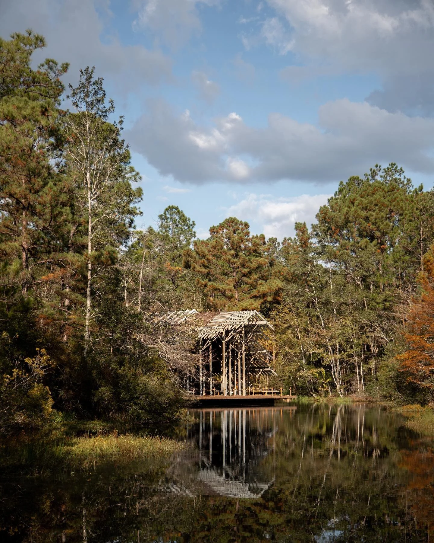 WOWZA the Crosby Arboretum is ✨stunning✨

I&rsquo;m glad I saved this trip for fall because I looove these colors 🍁🍁🍁

#photography #photographer #mississippiphotographer #jacksonms #jacksonphotographer #mississippi #crosbyarboretum #travelphotogr