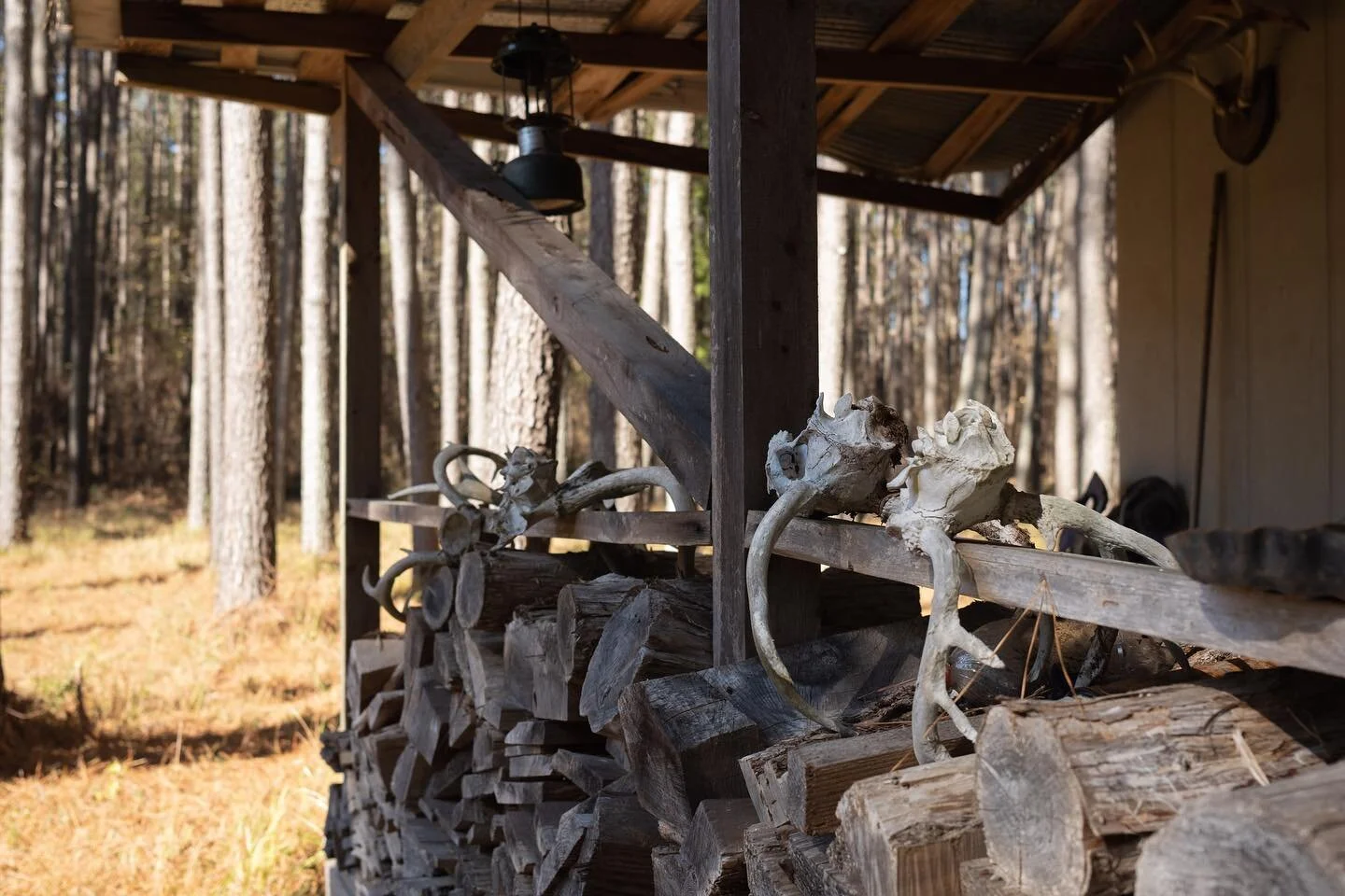 Shooting with the fujifilm x100v has been a game changer. It&rsquo;s so small but the quality is so good. Debating only taking it on my next trip🤔 @fujifilmx_us what do you think?