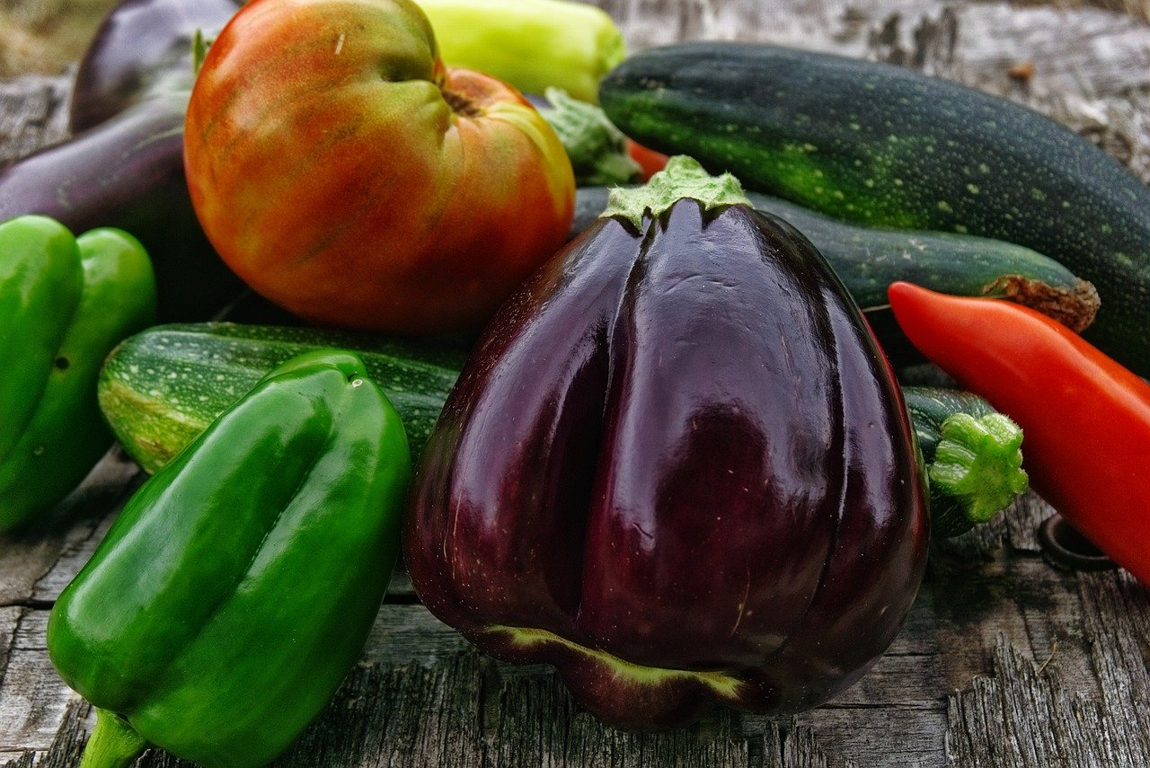 Free Speaker Series: Techniques to Boost Your Harvest with Jennifer Stefanchick.