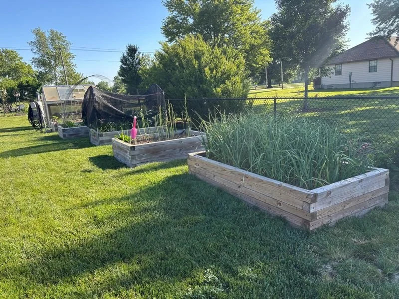 Vandendaele Garden 4 800.jpg