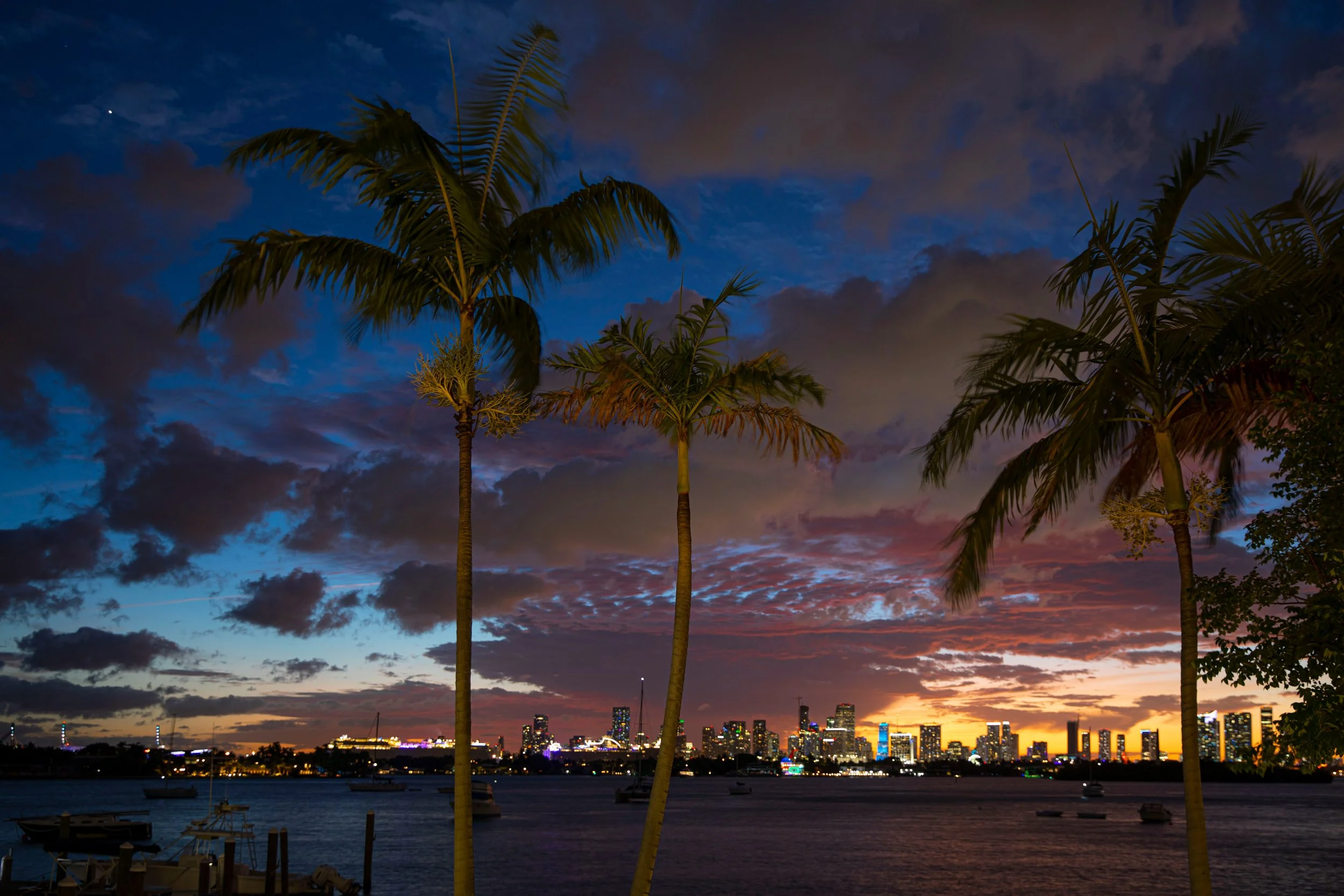 Downtown, Miami, Florida, Usa 2021