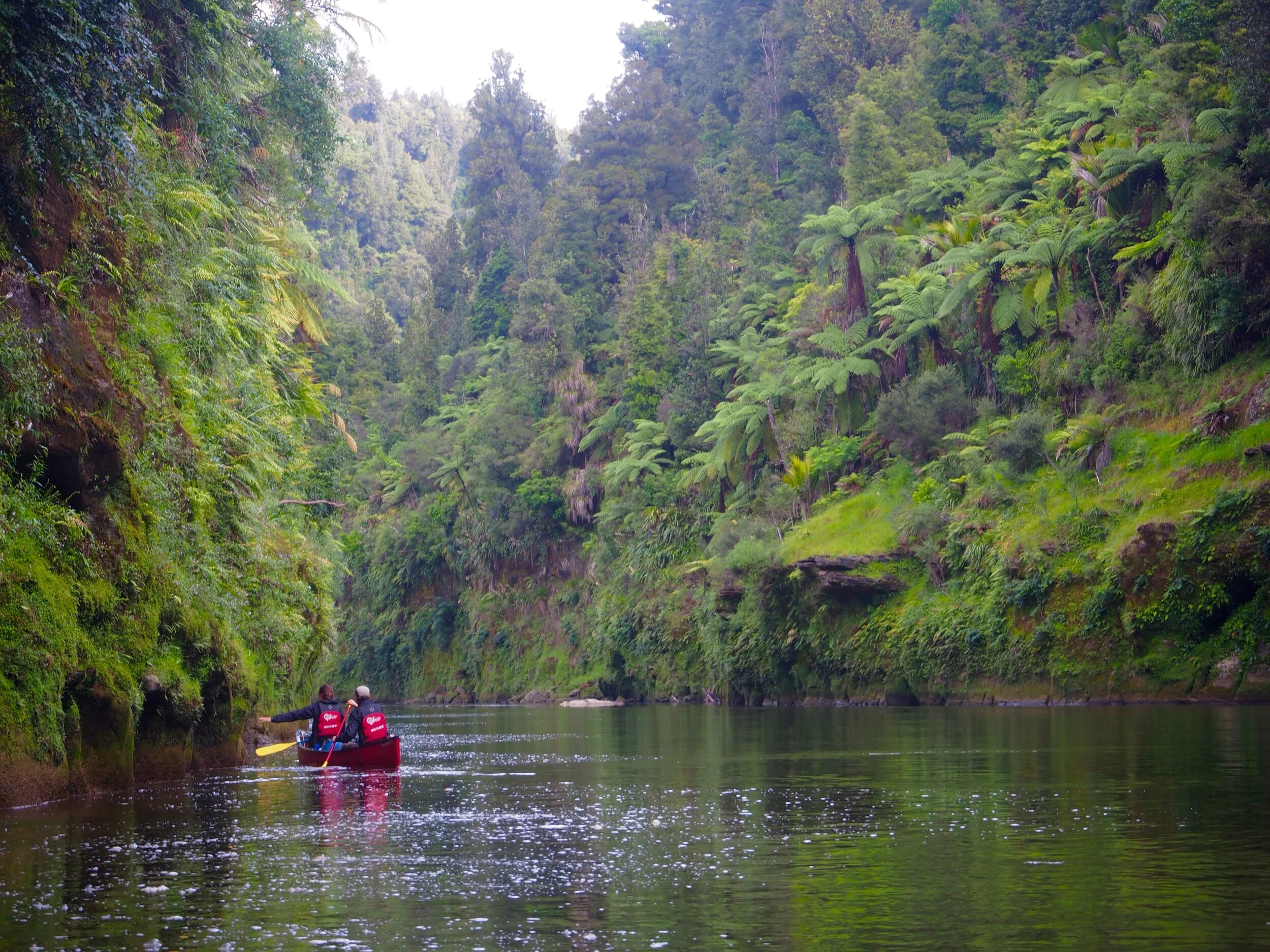 Whanganui