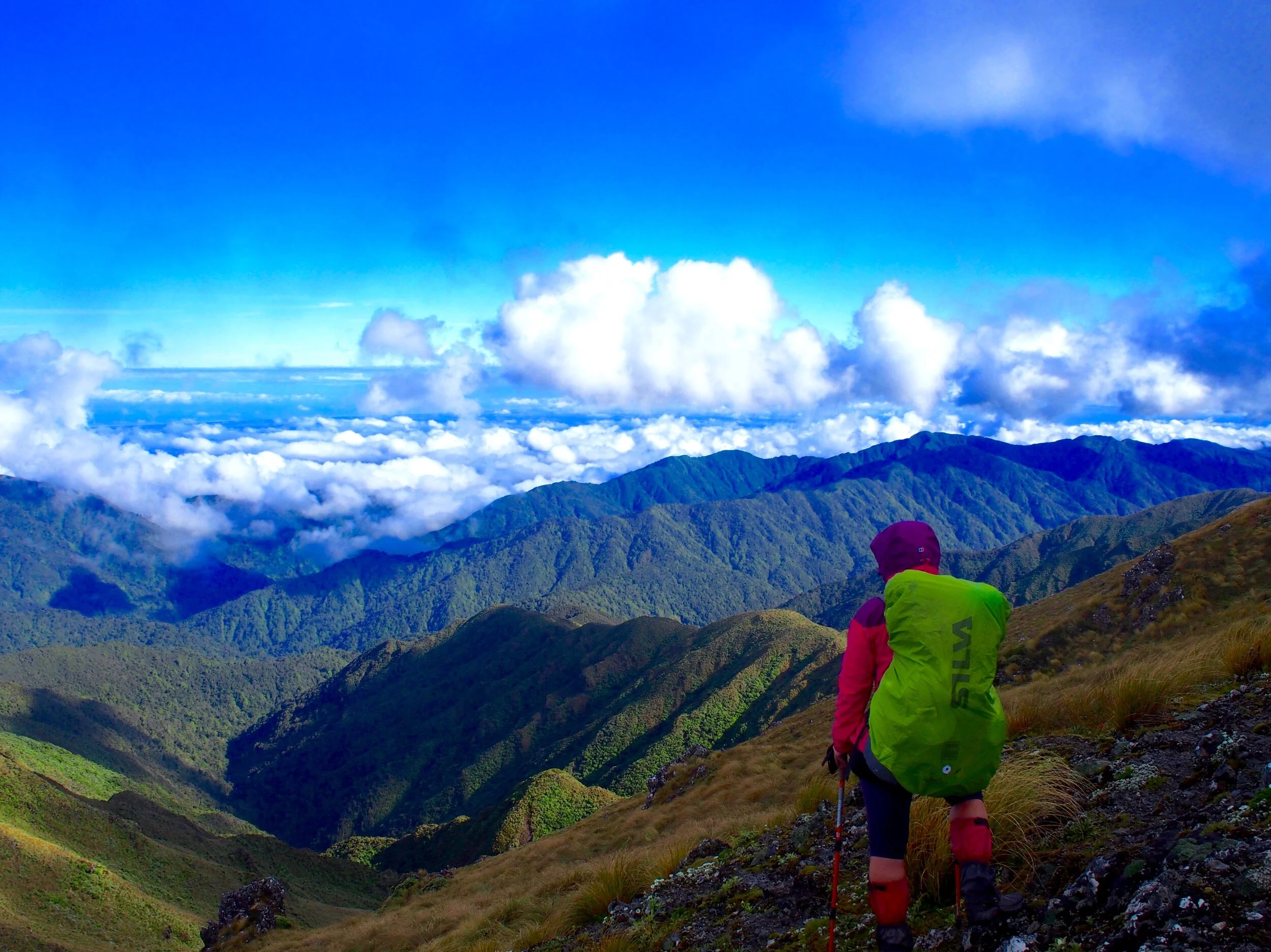 Tararua