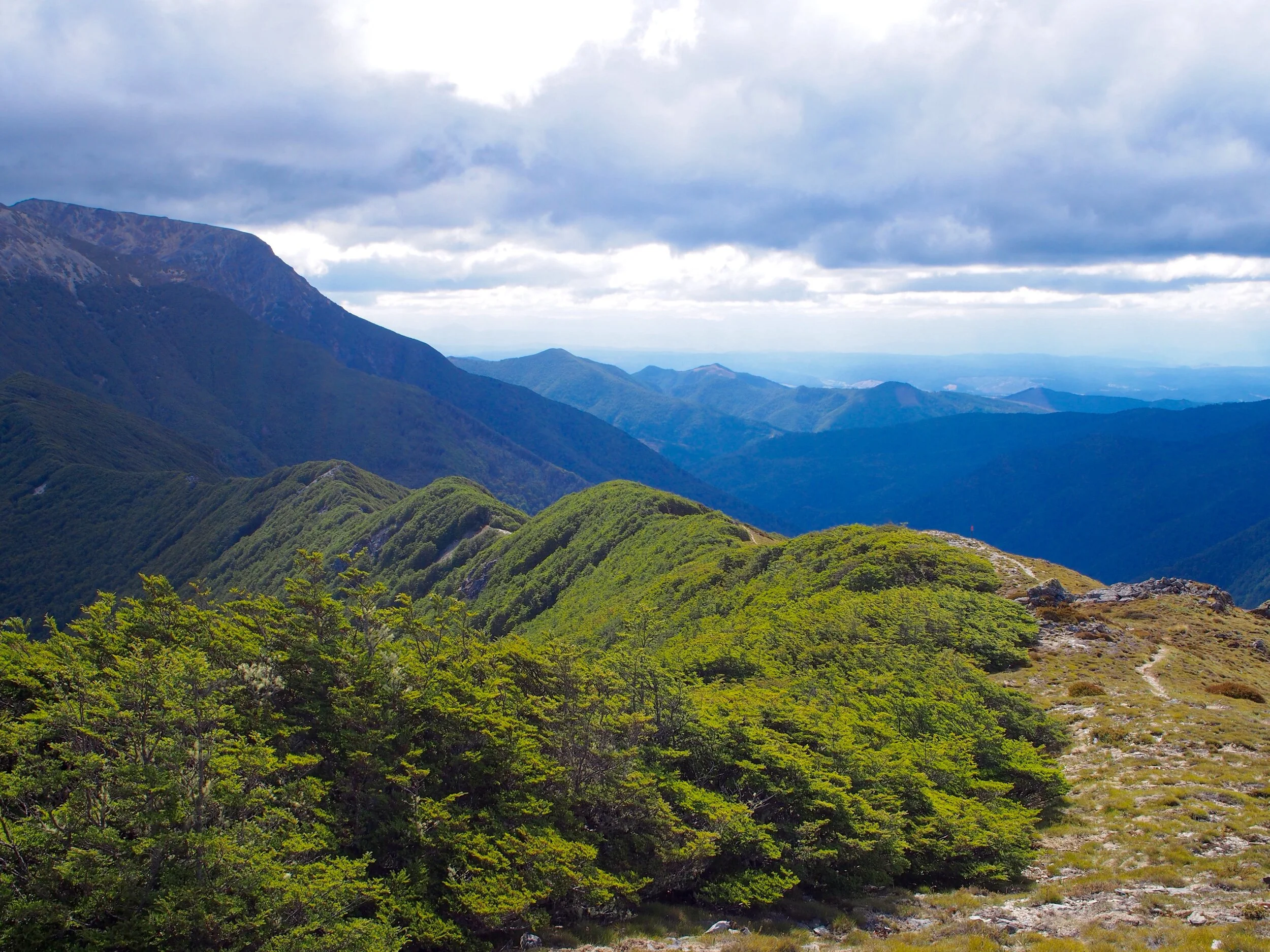 Richmond Ranges
