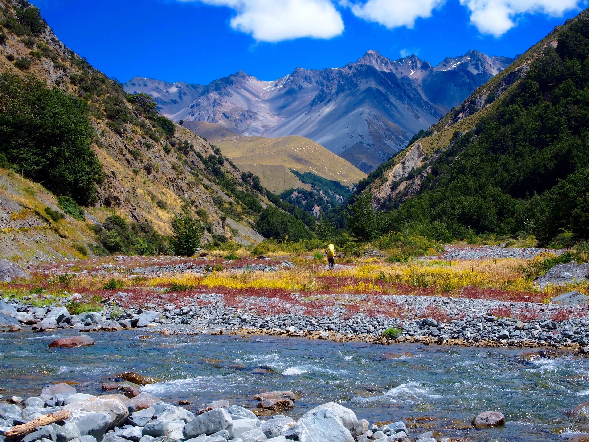 Rangitata