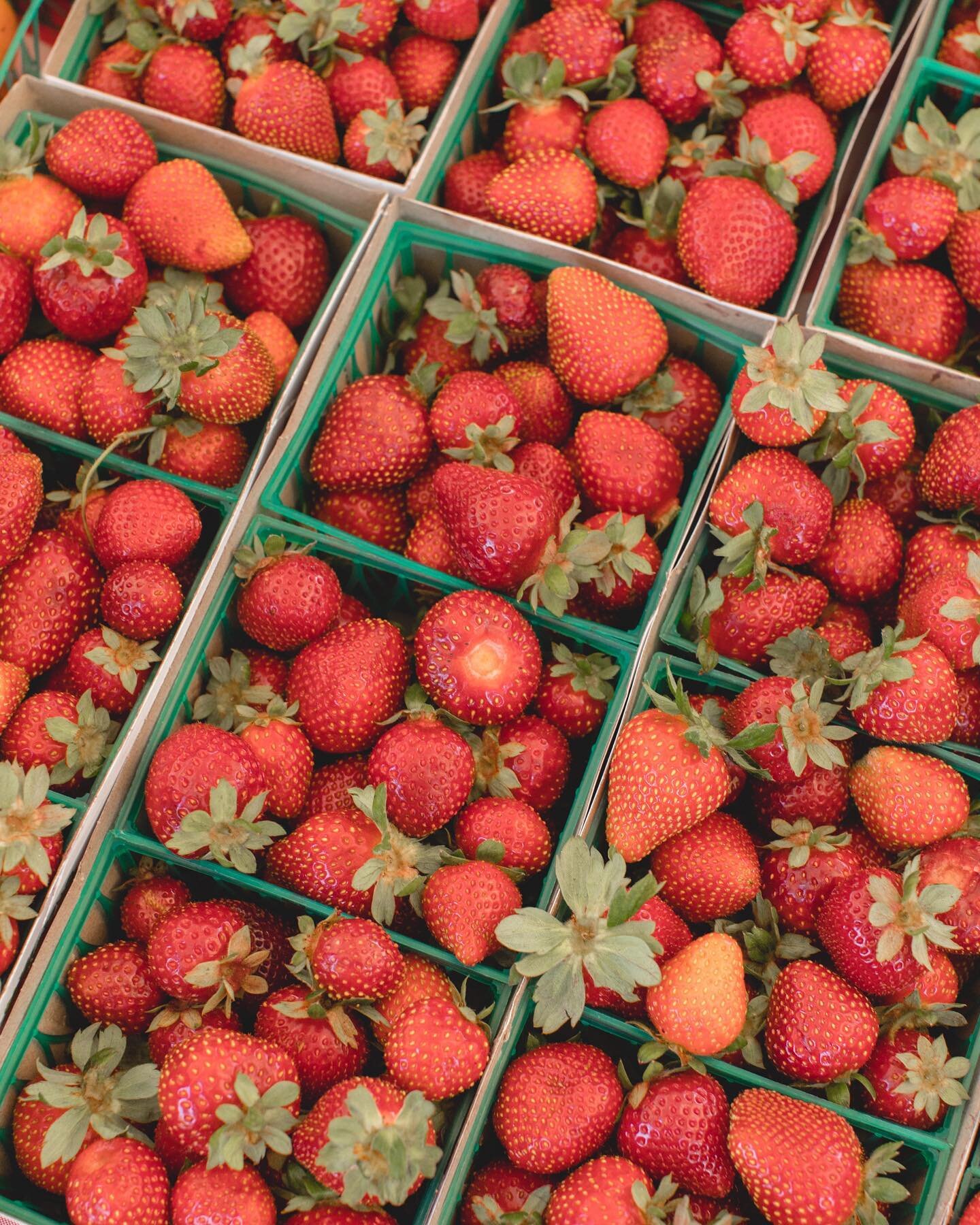 Peak strawberry season is approaching and getting prepared with the right items to store your berries can make all the difference. Washing strawberries can be tricky as strawberries tend to soak up as much water as they can get into contact with. 
🍓