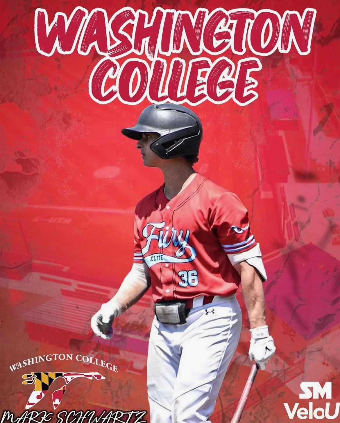 Mark Schwartz: Washington College