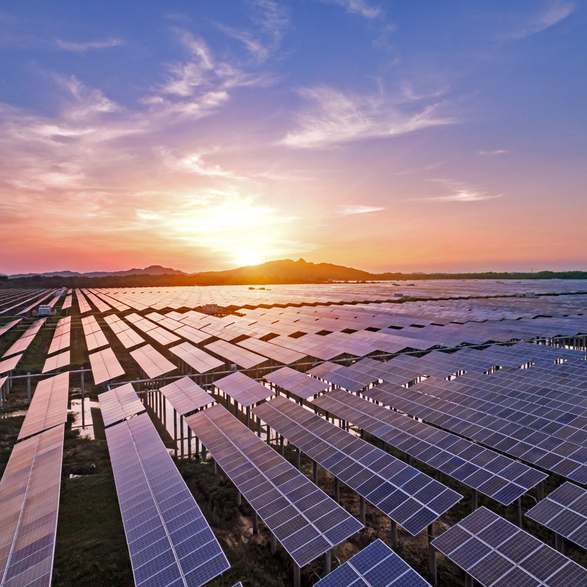 Fixed vs Flexible Energy Contracts Explained — Energy Oasis