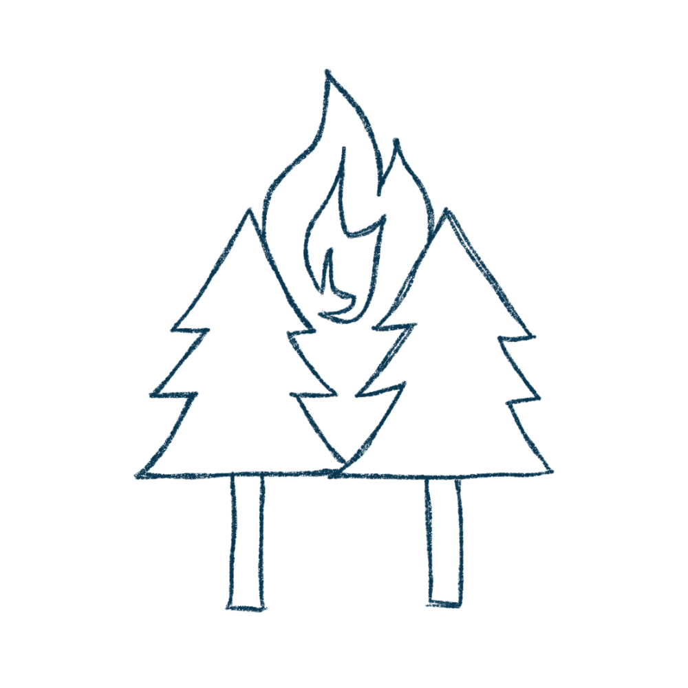 Line illustration of trees on fire, symbolizing wildfire damage.
