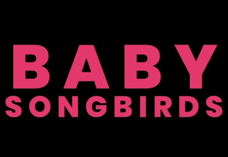 Baby Songbirds