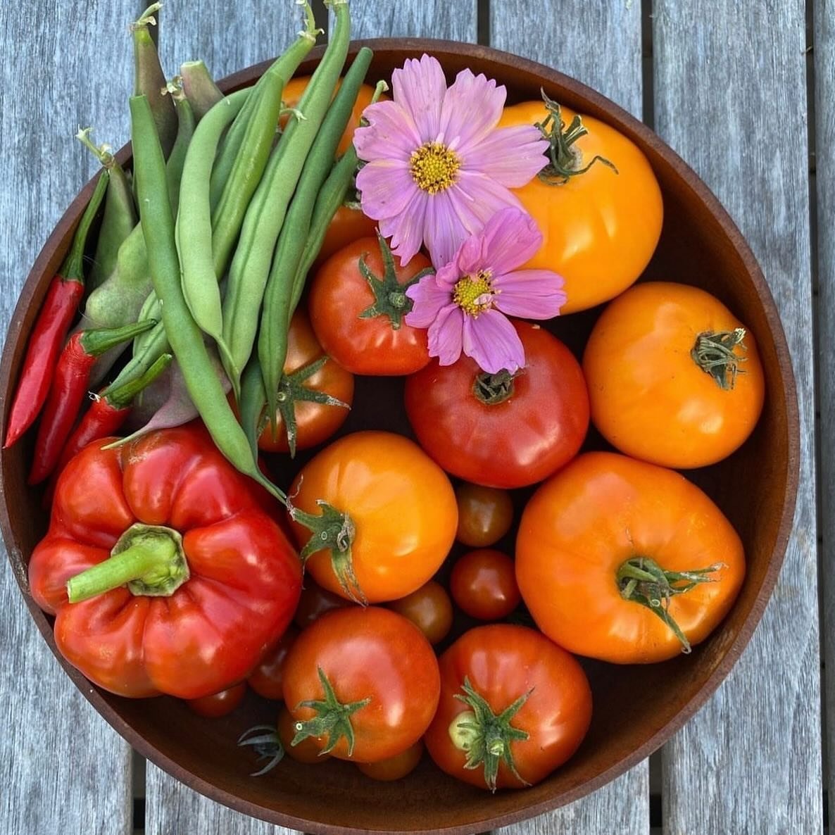 Harvest appreciation post 🍅🫑🫛🍆🌶️

Wow!! Check out at all these magnificent harvests&hellip;.
What are you growing at your place at the moment?

Via these wonderful gardeners&hellip; 🌱
1. @tuigardenandhome 
2. @kathysharvest 
3. @myurbangardenjo