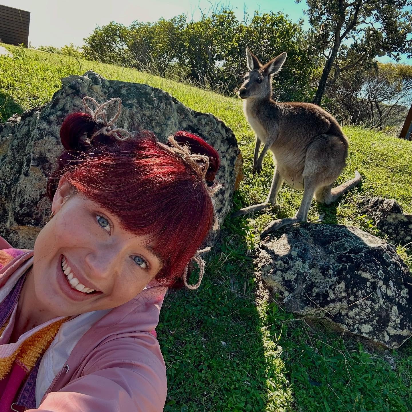 What a gift it is to live, walk &amp; breathe on this beautiful planet. 

To watch in wonder of &hellip; the morning light touching each leaf at dawn&hellip; bees buzzing around from flower to flower with legs full of pollen&hellip; a kangaroo who de