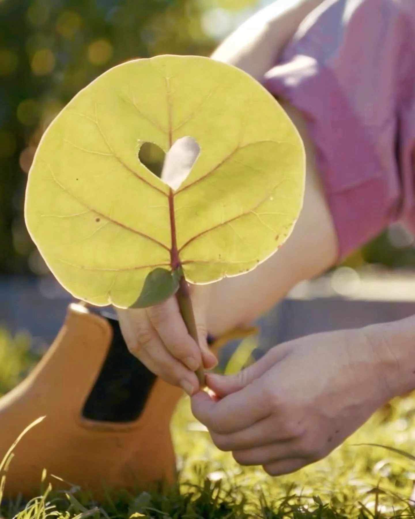 What if a song was a seed? 🌱
not a drop. not a scroll-by.
but something we grow together.

&lsquo;Happy Song&rsquo; will be yours Friday 17th of October 🎶 

#HappySong #SongGardeners
#WeAreNature #dirtgirlworld