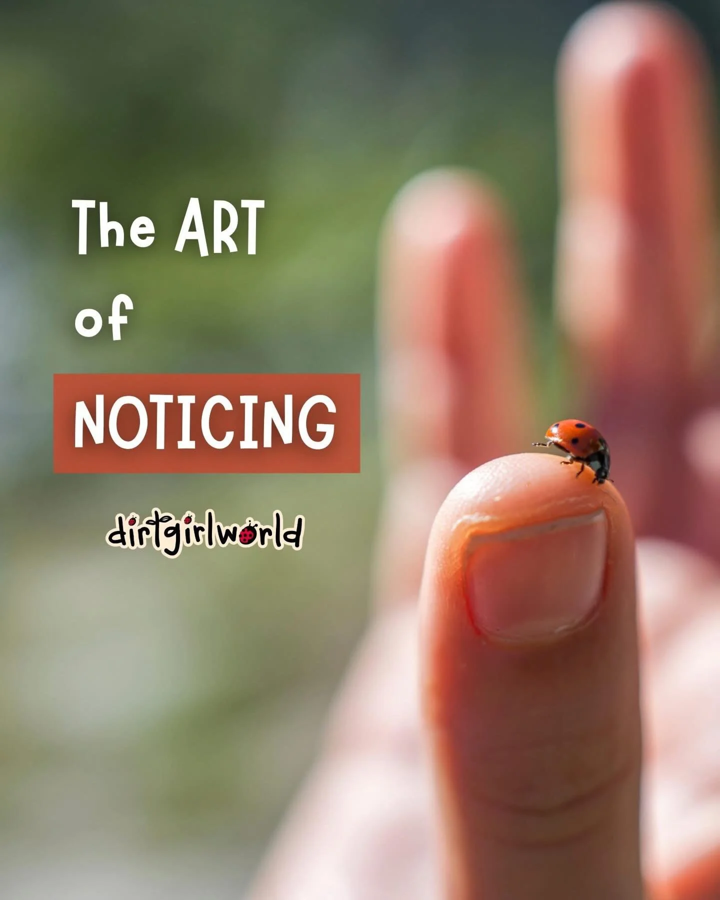 Something wonderful happens when we slow down.
When we pause in nature.
When we don&rsquo;t just look ....but really see 🐞

In dirtgirlworld, we call it putting on your nature goggles.
Suddenly, the everyday becomes extraordinary.

A whole universe 