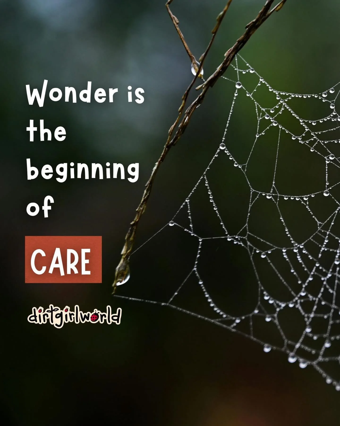 Wonder is the beginning of care. 💛

Awe has superpowers.
It hushes the busy brain.
Softens stress.
Zooms us out of &ldquo;me, me, me&rdquo; and into wow.

Suddenly, we feel small 
but not alone.
Connected to the magnificent tapestry of life.

Soil a
