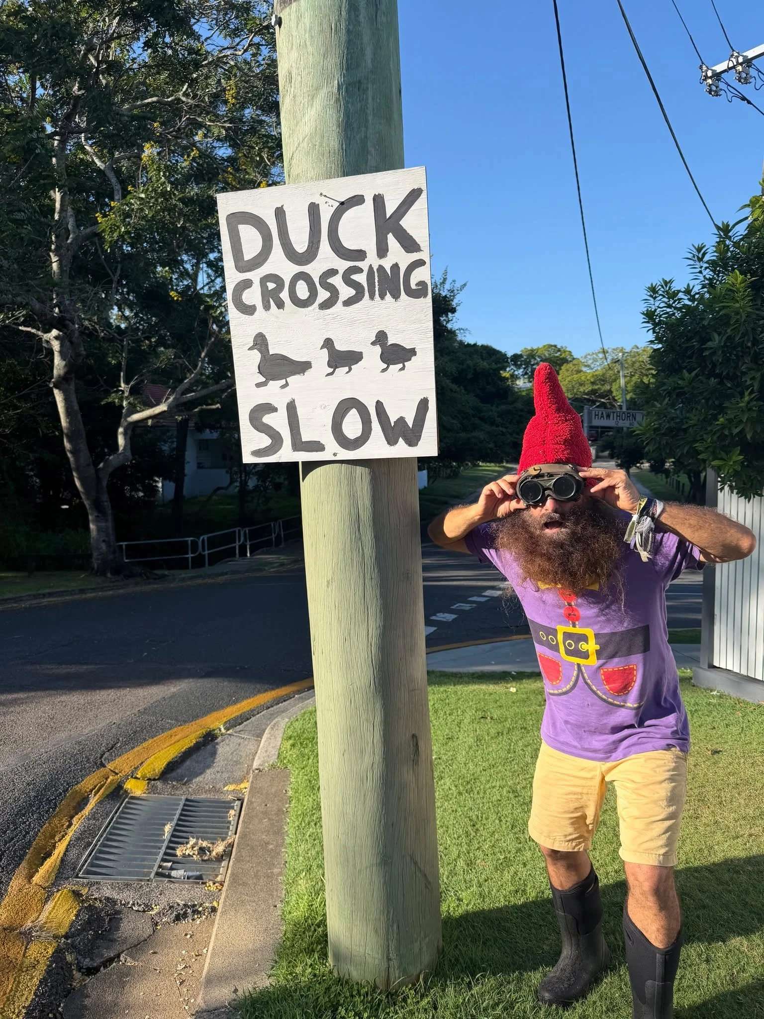 Happy Saturday!! 

Slow down&hellip; ducks about 🦆💛