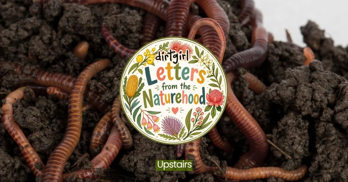 An image of worms in soil, with a circle in the middle that says dirtgirl Letters from the Naturehood. The circle also has pictures of Australian native flowers around the outside.