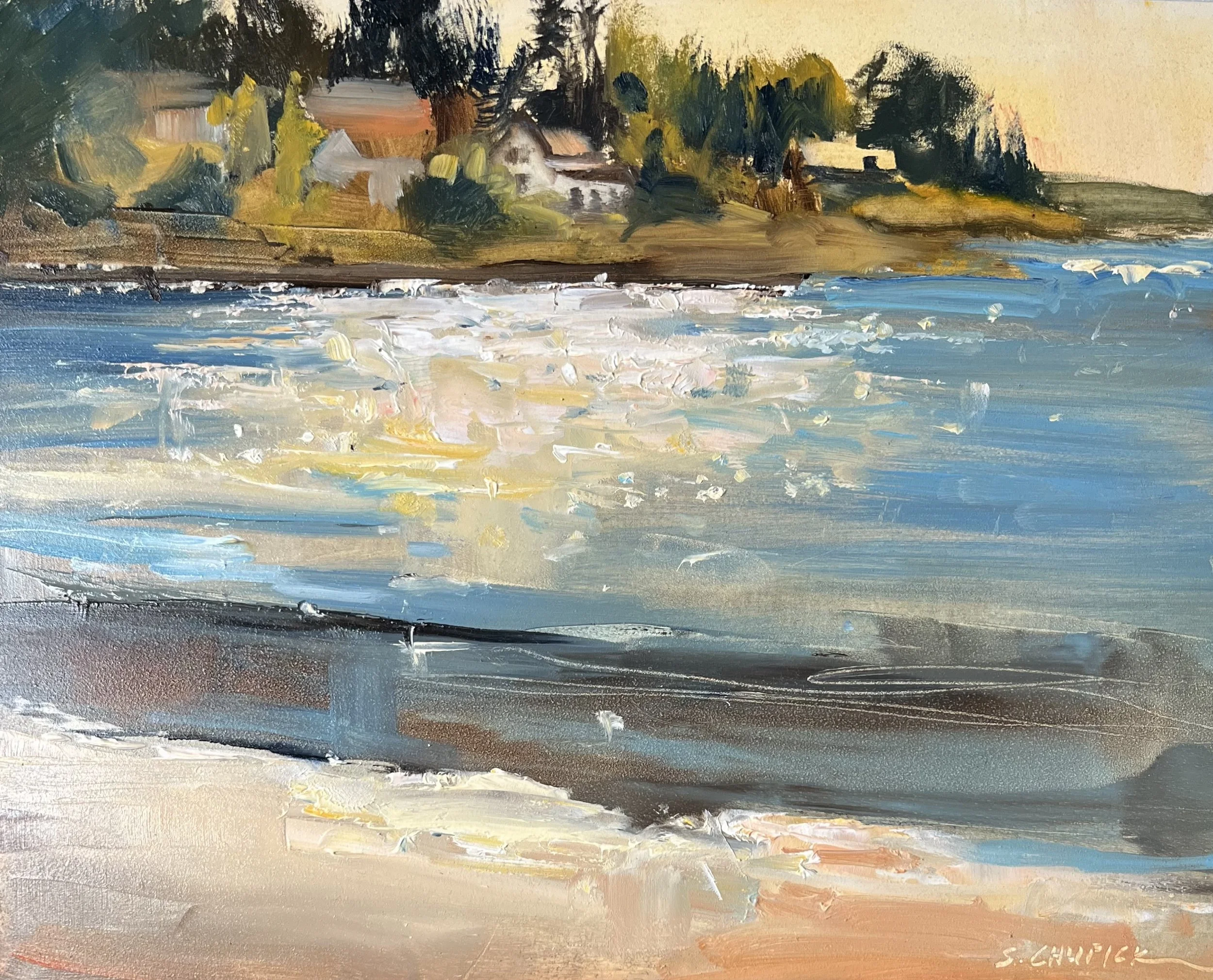 Cadboro Bay Morning_Sally Chupick.jpg