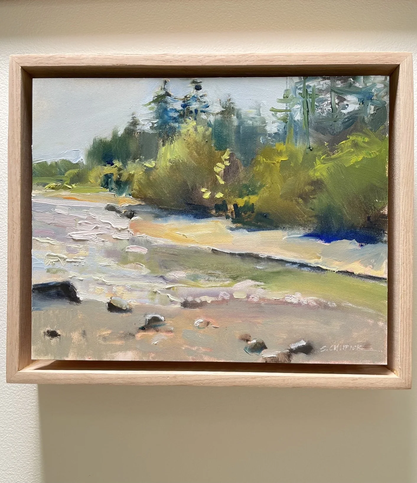 Saanichton Bay front.jpeg