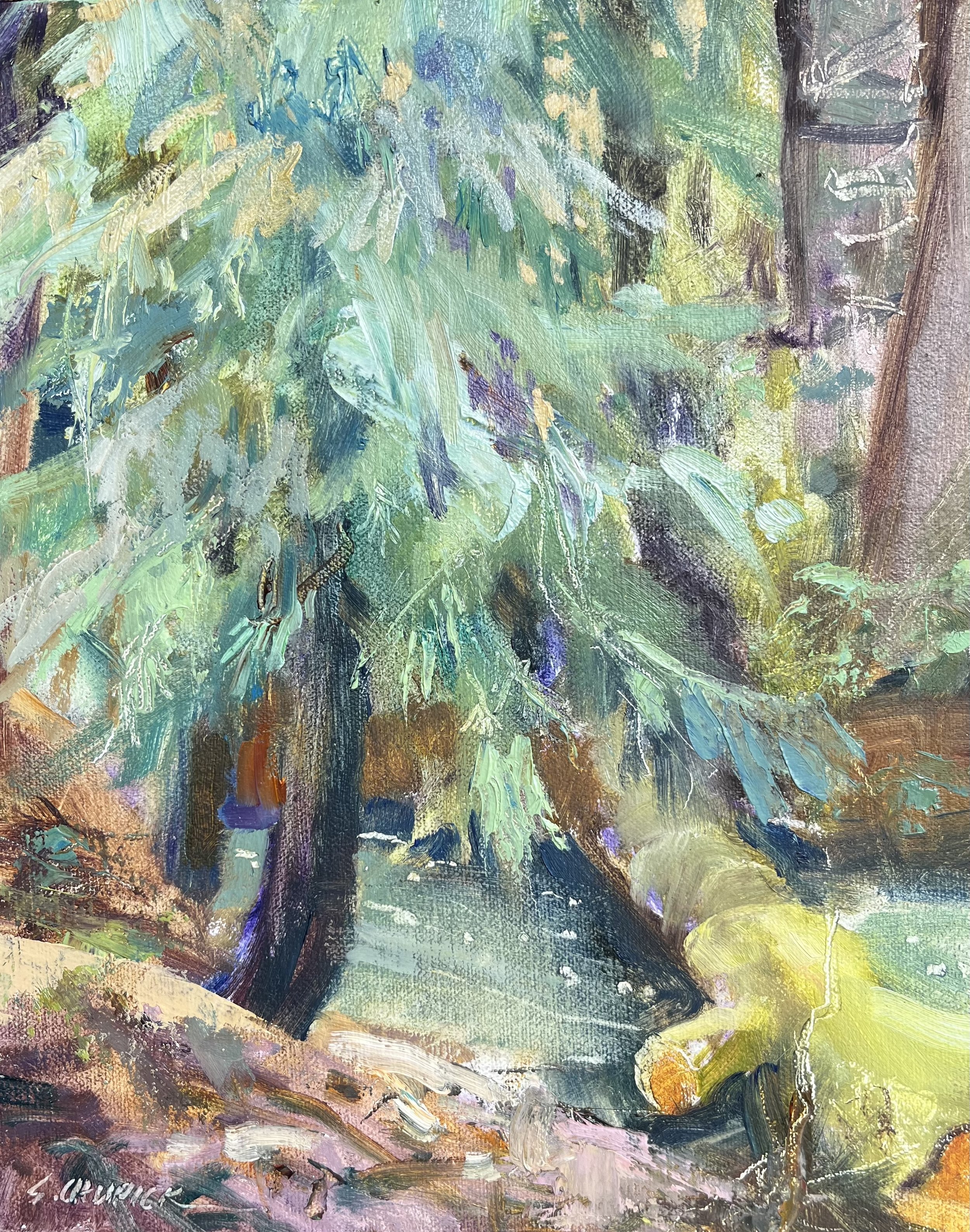 Forest Creek_Sally Chupick.jpg
