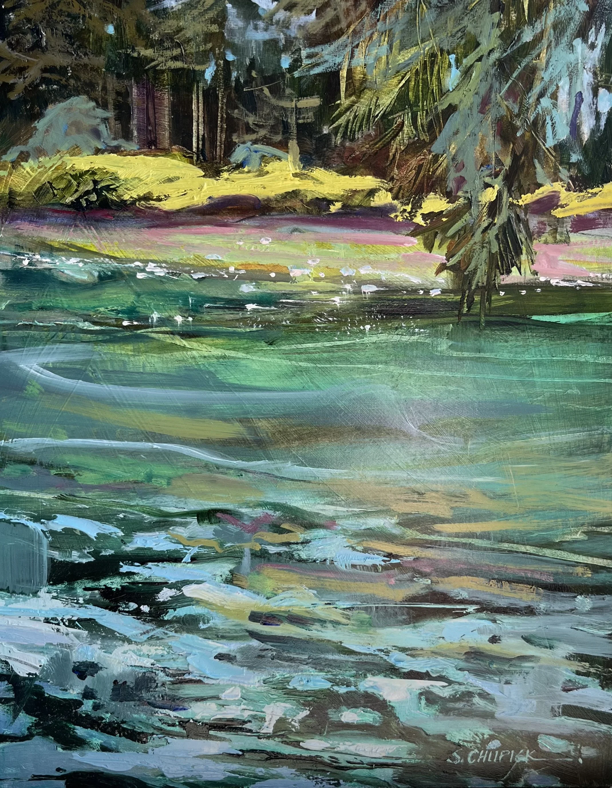 Emerald Waters, Gabriola Island.jpeg