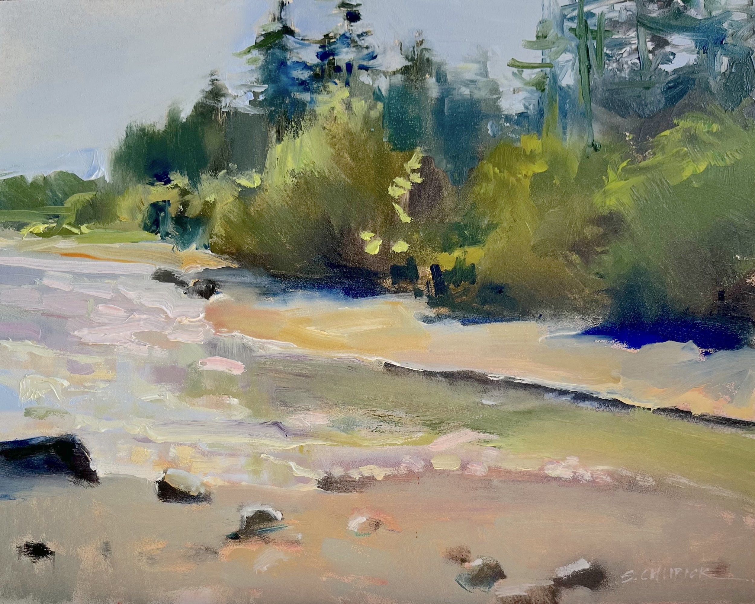 Saanichton Bay Park.jpeg