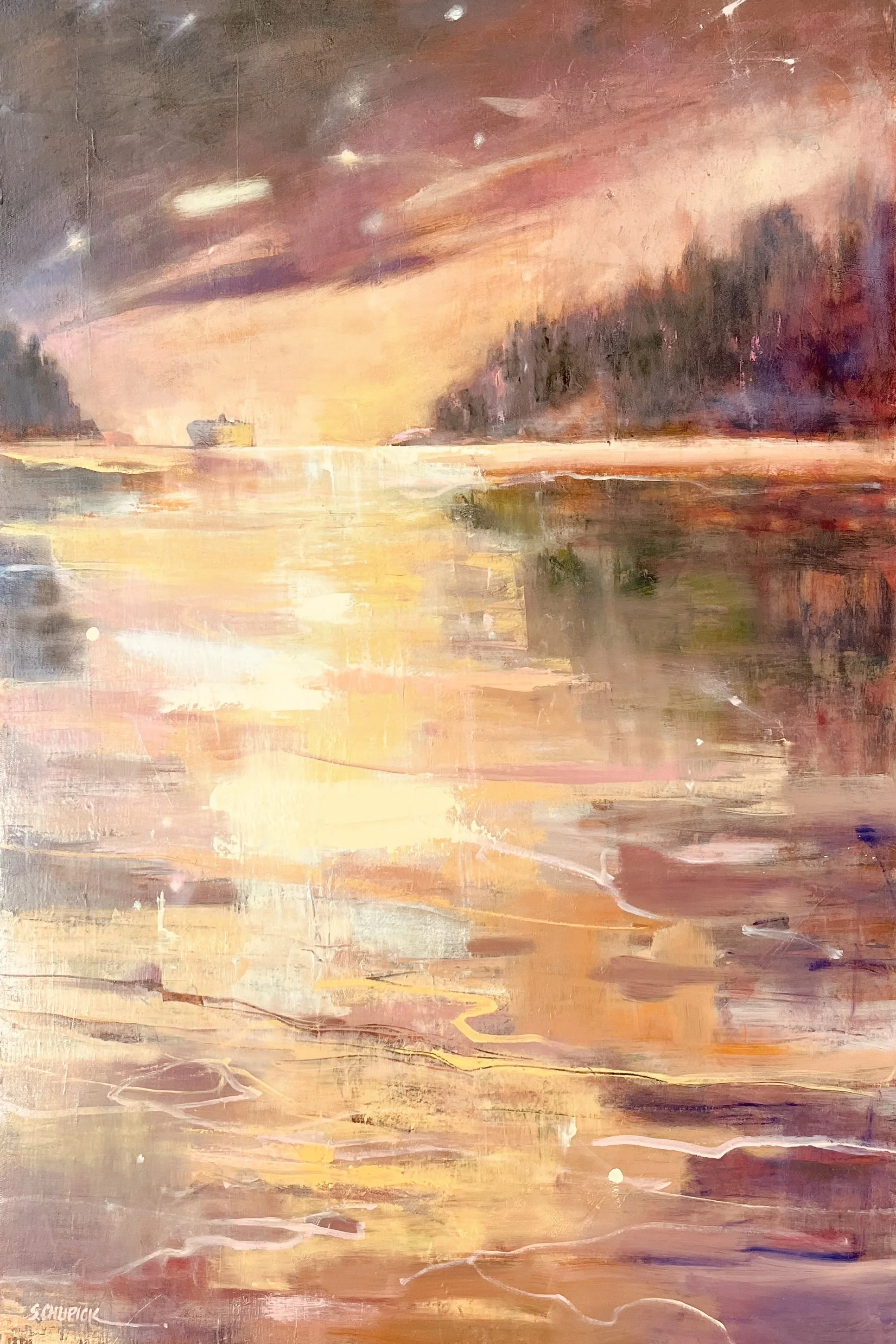 Active Pass_Sallly Chupick.jpeg