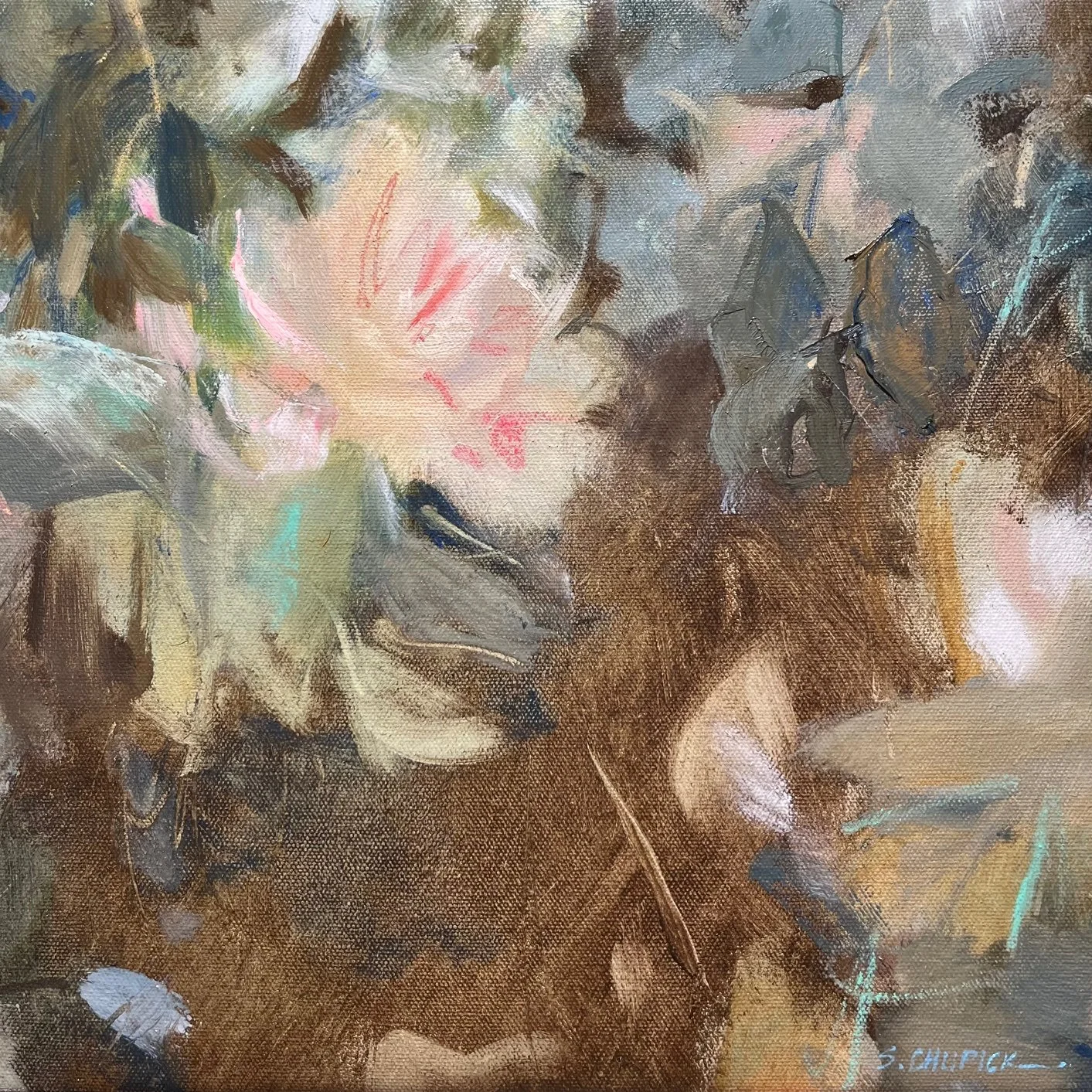 Camellia Bedellia_Sally Chupick.jpeg