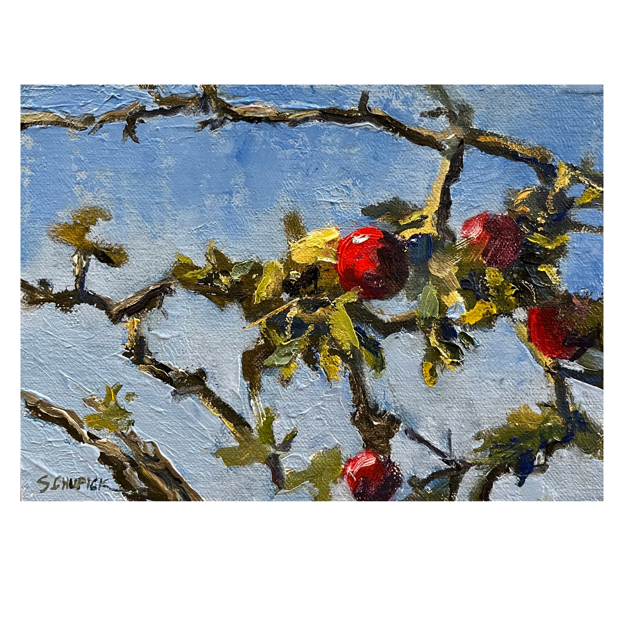 Apple Tree.png