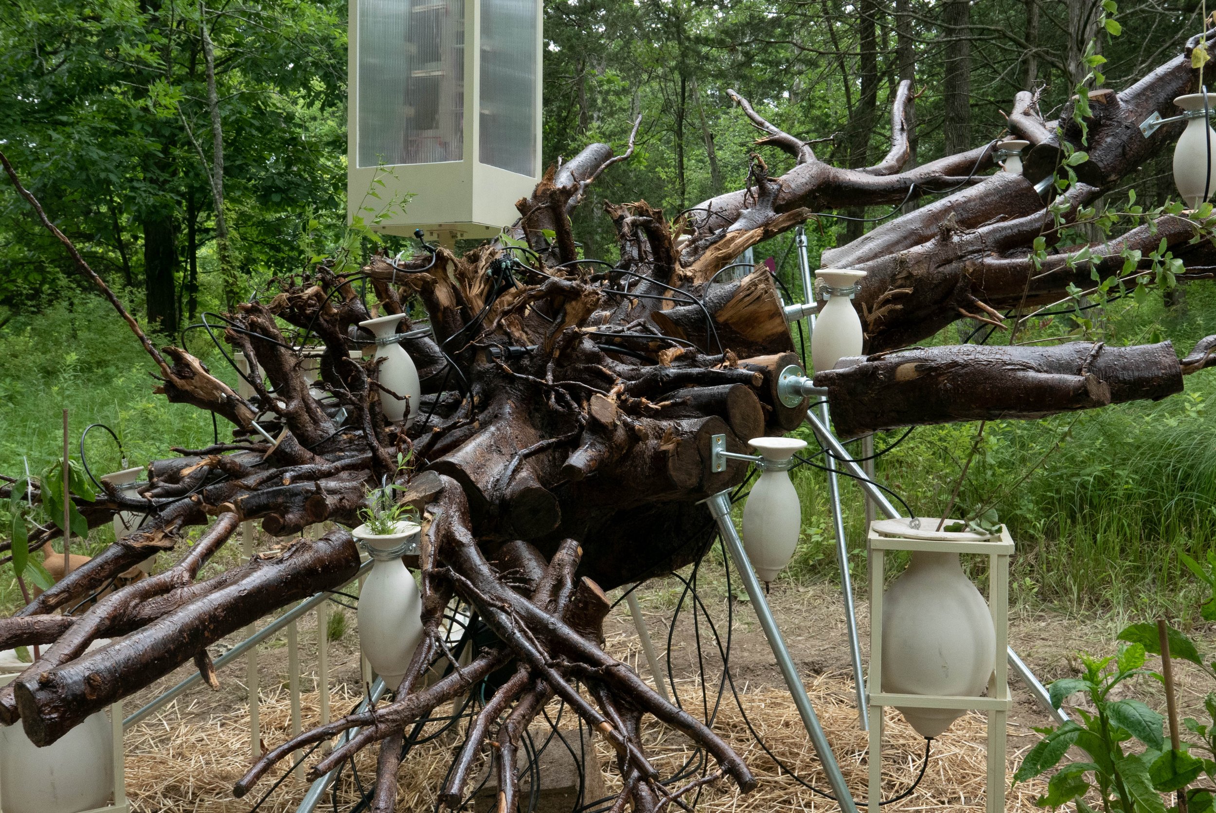 Copy of P1070848.jpg