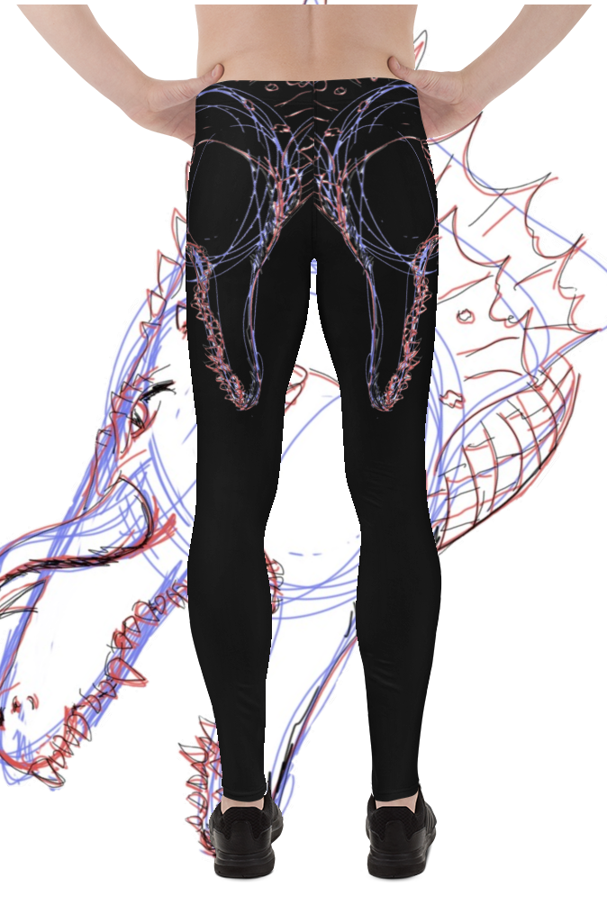 ZL2.png