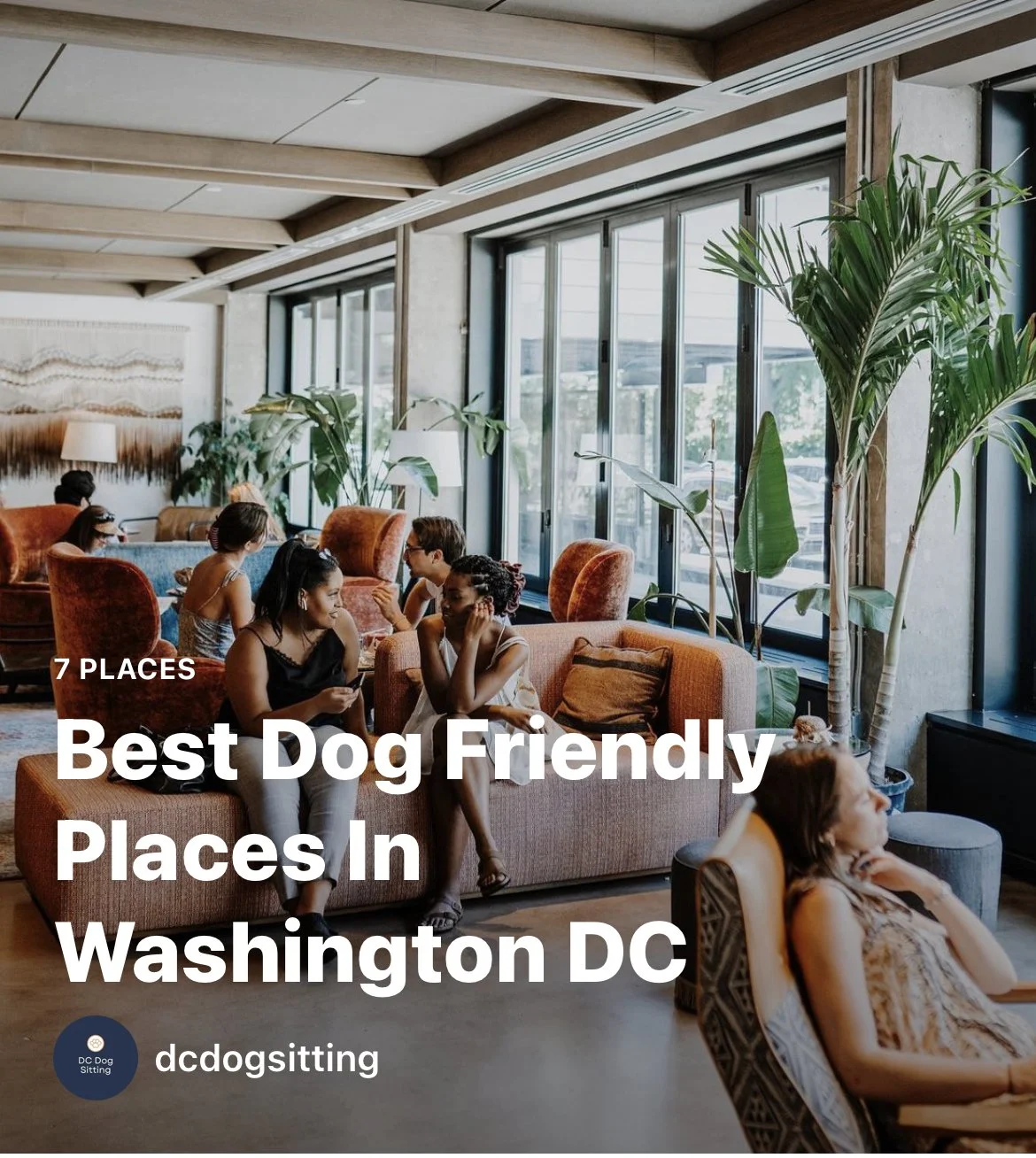 Best Dog Friendly Places In Washington DC
