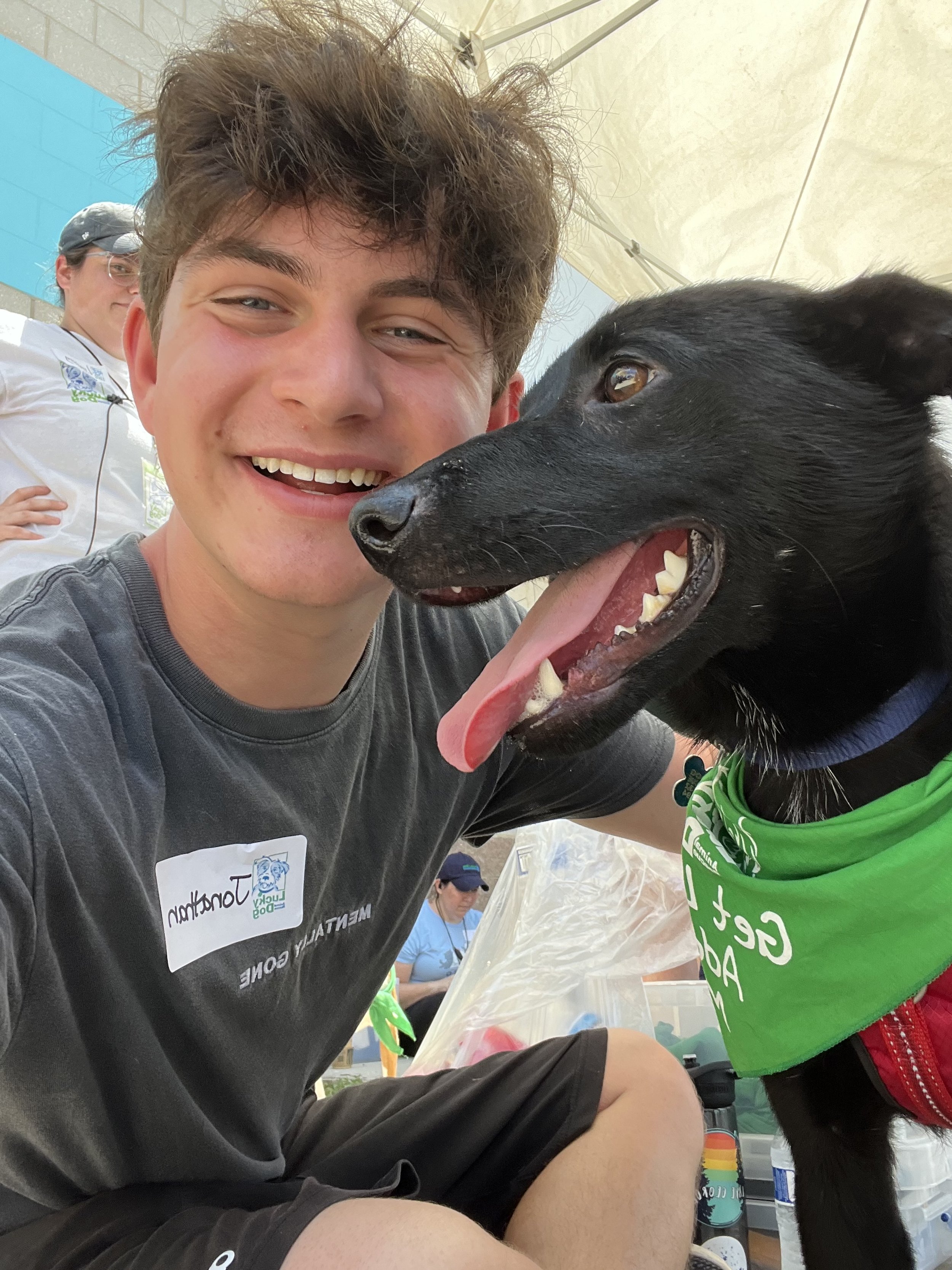 Volunteering with Lucky Dog Animal Rescue has many benefits... like being able to hang out with cute puppies.