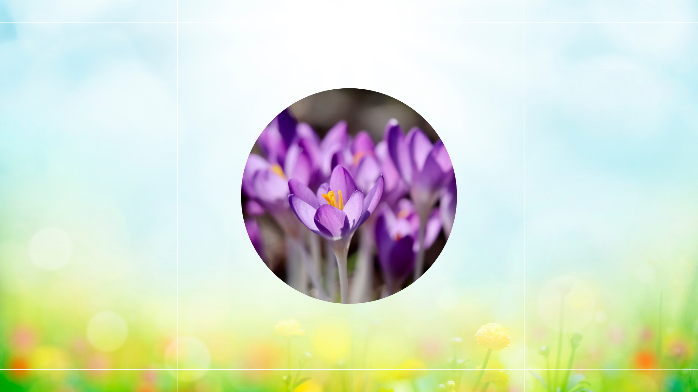 Spring Reset: 5 Simple Ways to Lighten Your Home (and Your Mind)