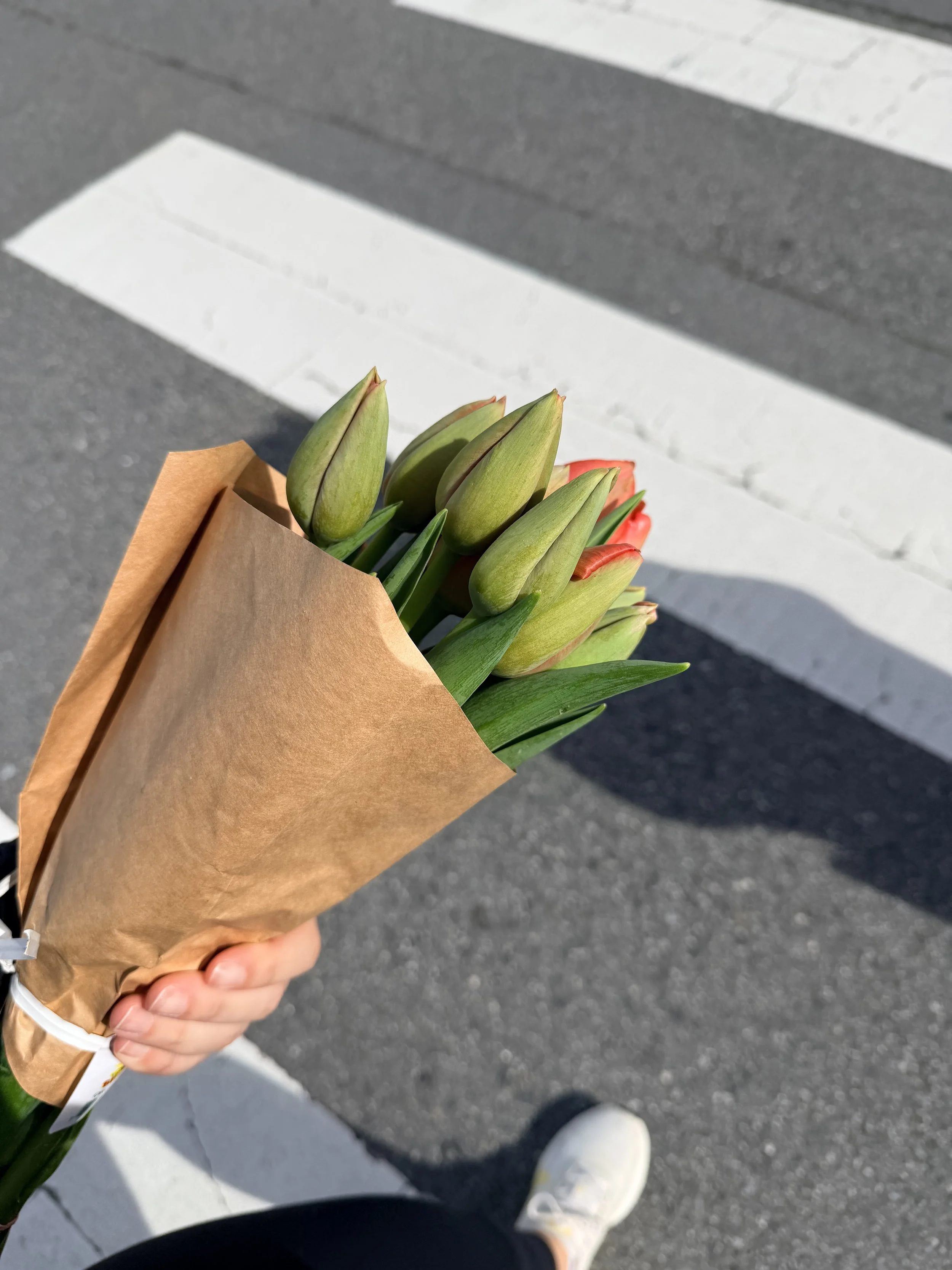 The Gentle Art of Beginning Again