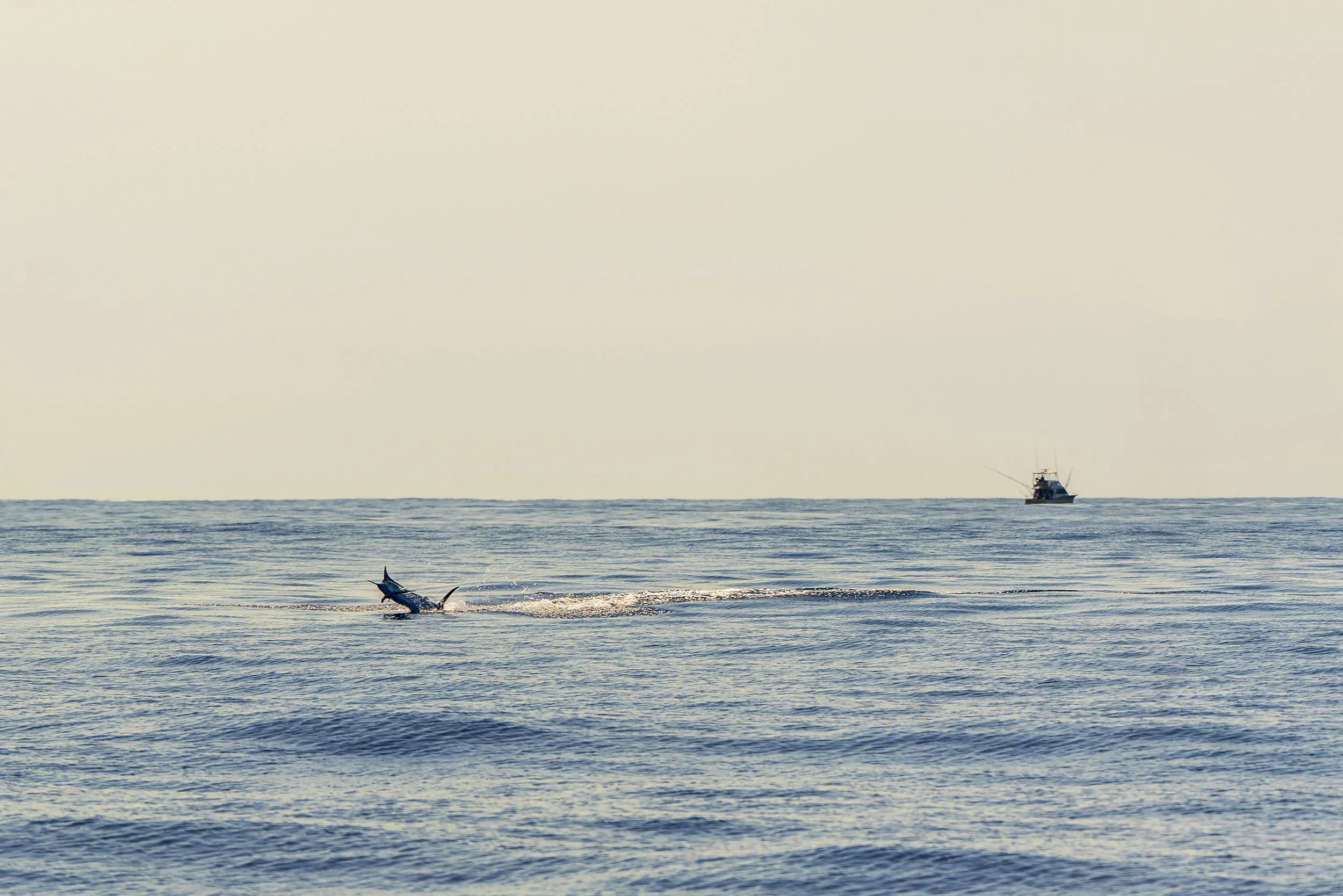 Kona Waters
