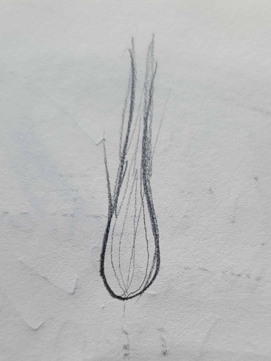 1000042975.jpg
