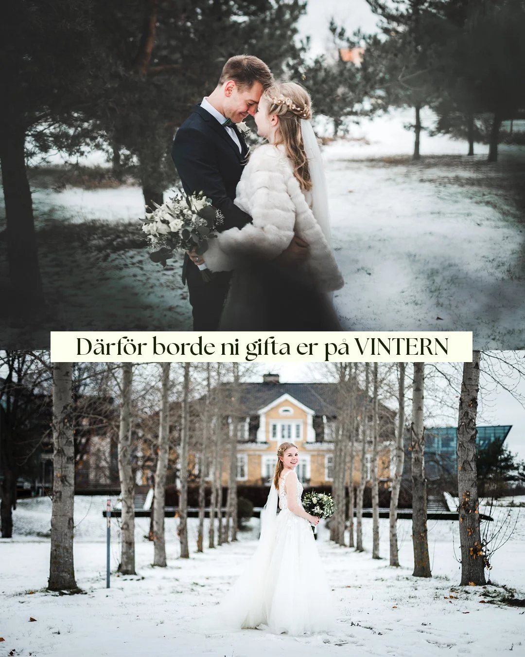 D&auml;rf&ouml;r &auml;r vinterbr&ouml;llop magiska (p&aring; riktigt)
H&auml;r &auml;r varf&ouml;r vinterbr&ouml;llop skapar n&aring;gra av de mest k&auml;nslostarka bilderna jag fotograferar. Kolla igenom bilderna och skriv sen och boka en vinterfo