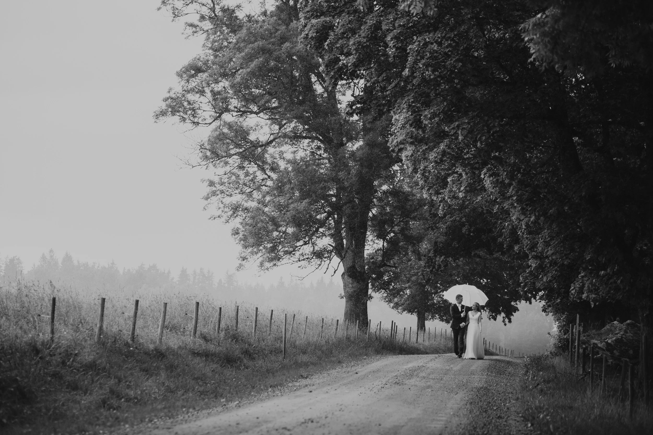 Regn, lugn och kärlek