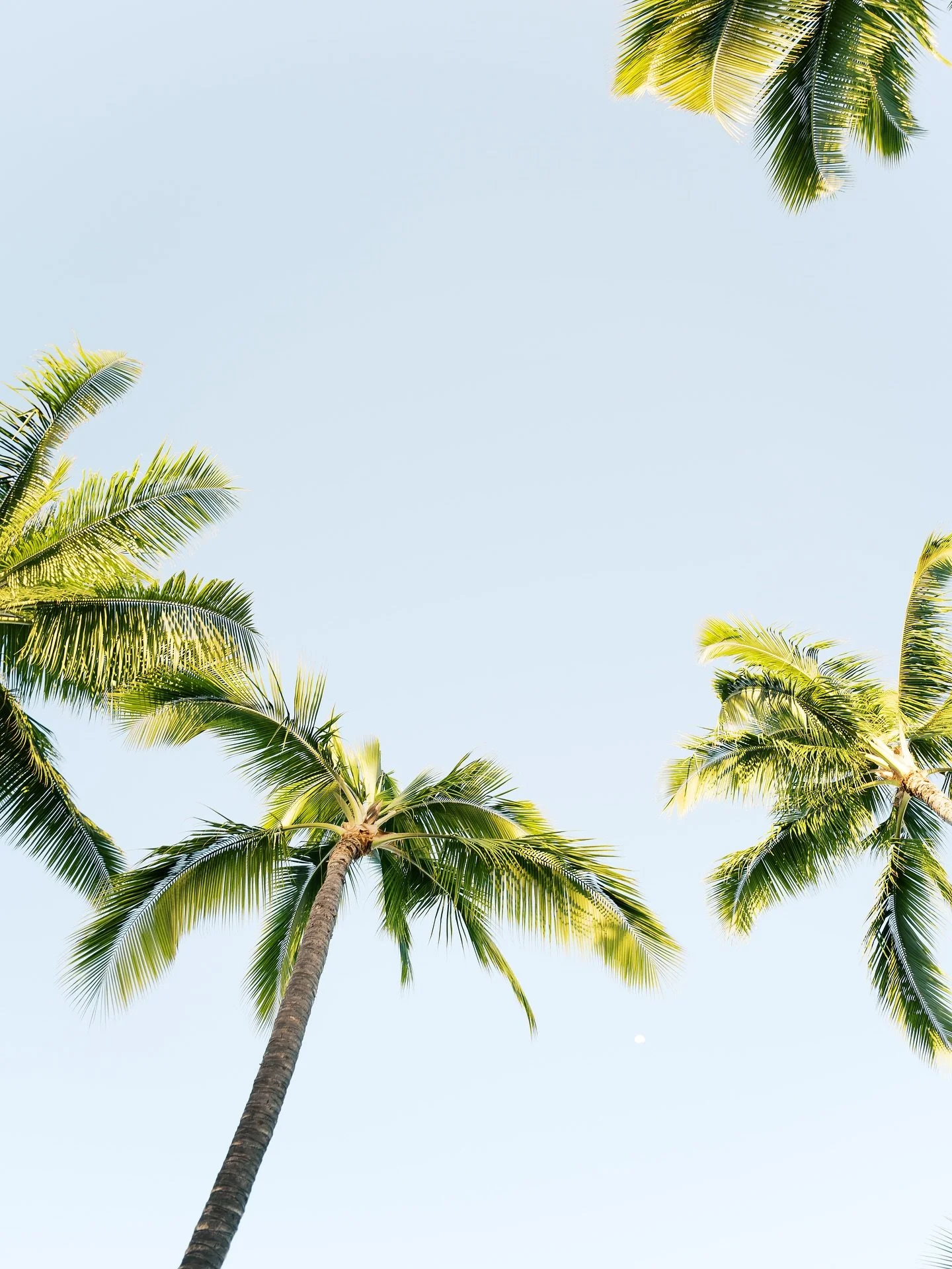 Aloha Friday! 

Such a packed weekend ahead of me, but I&rsquo;m excited for all the fun stuff we have going on! 

Hope everyone has a great weekend 🫶🏼✨