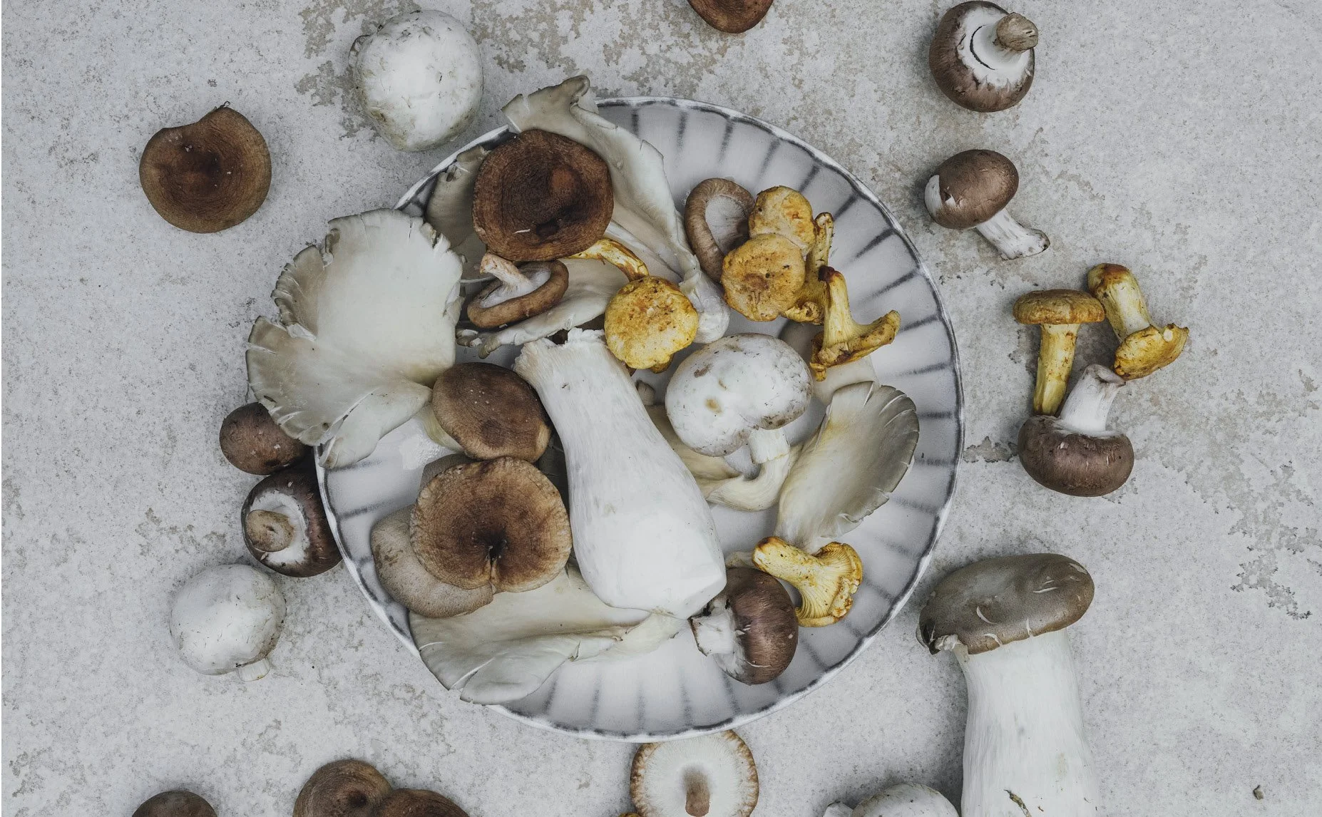 Teller mit frischen Pilzen aus der saisonalen Küche des ANIMO by Aigner