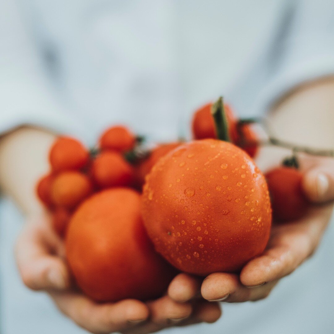 Aromatisch, knackig und frisch &ndash; wir kochen ausschlie&szlig;lich mit den besten Zutaten aus der Region. Das verleiht unseren Gerichten Frische und Geschmack. Und darauf legen wir gro&szlig;en Wert. Guter Geschmack, frische Zutaten und keine Kom