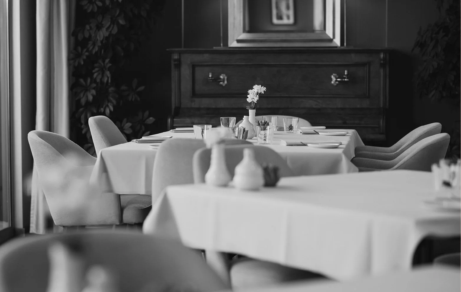 Set tables in the winter garden of ANIMO by Aigner